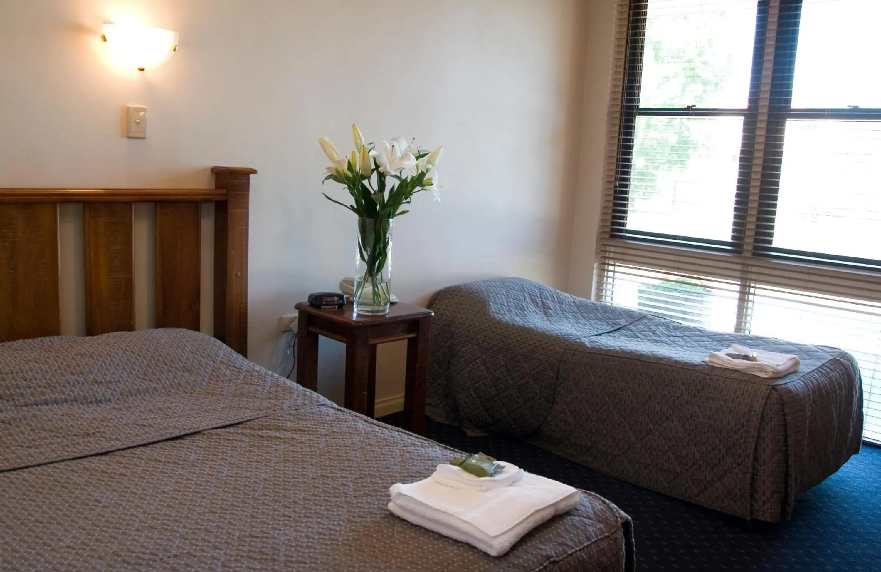 Standard Twin Room in Dorset Gardens Hotel Standard Twin Room in Dorset Gardens Hotel