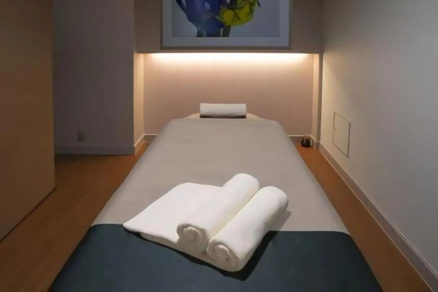 Spa and wellness centre/facilities in L'Hotel de Hiei