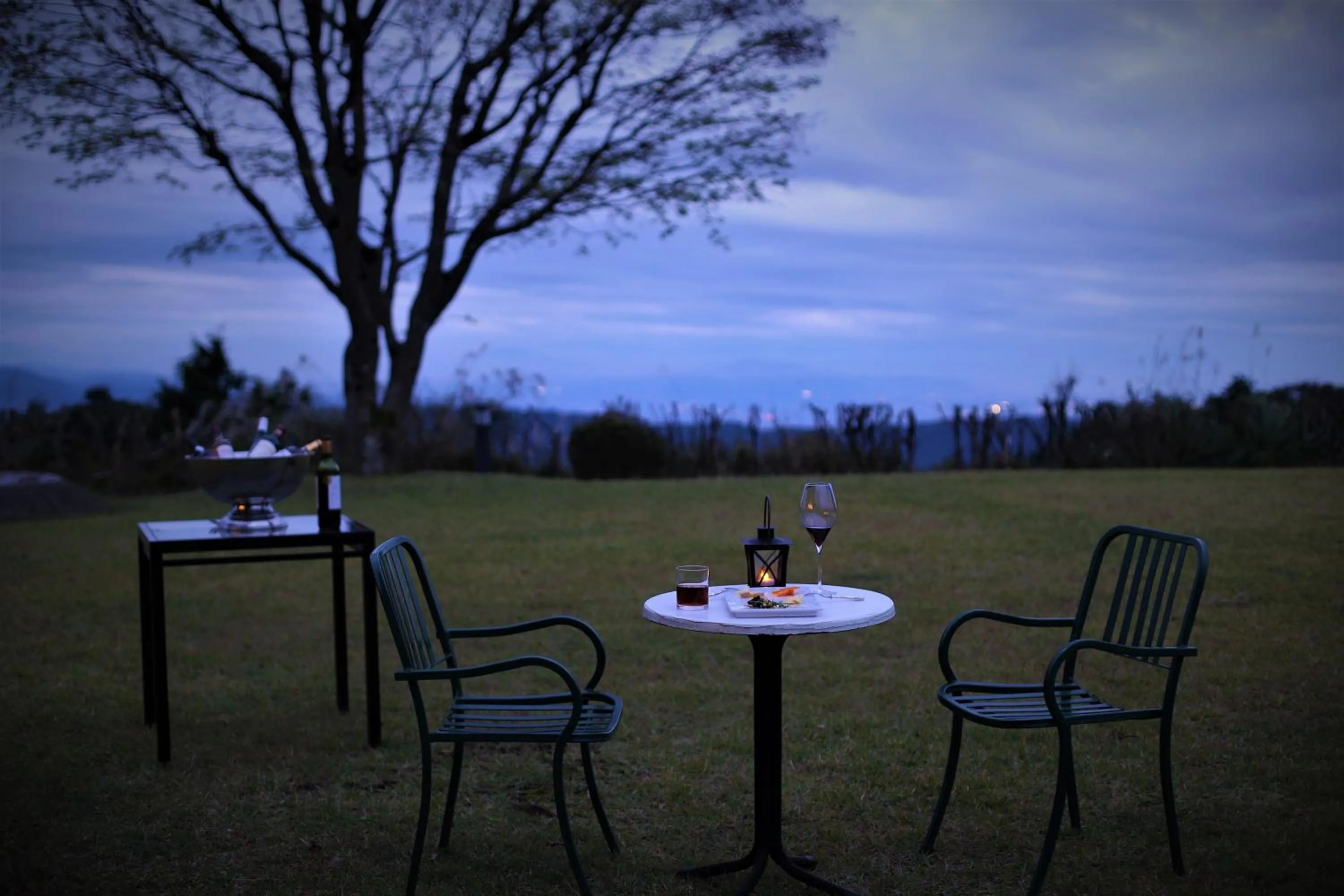 Garden in L'Hotel de Hiei