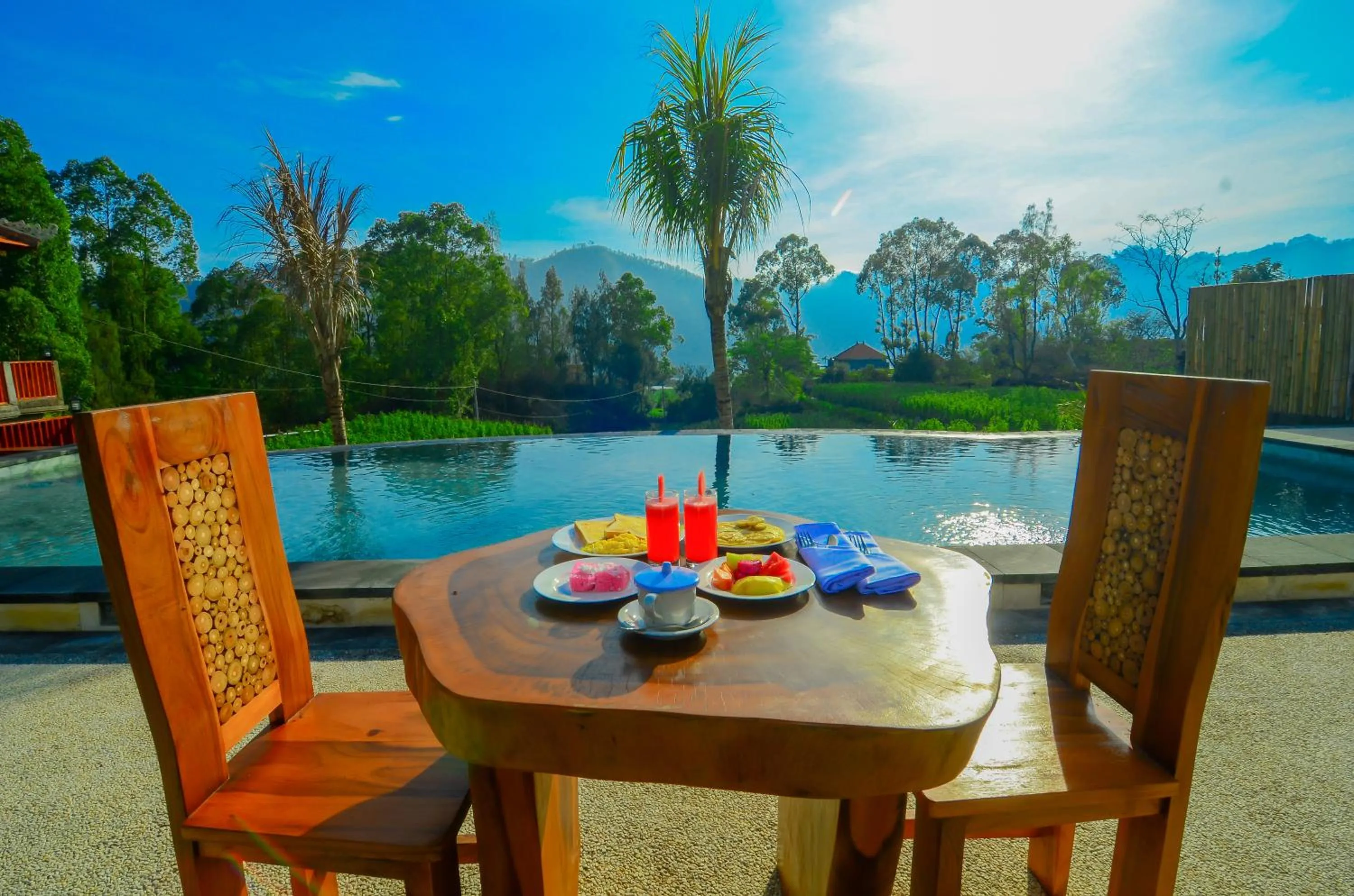 Garden view in Mount Batur Villa