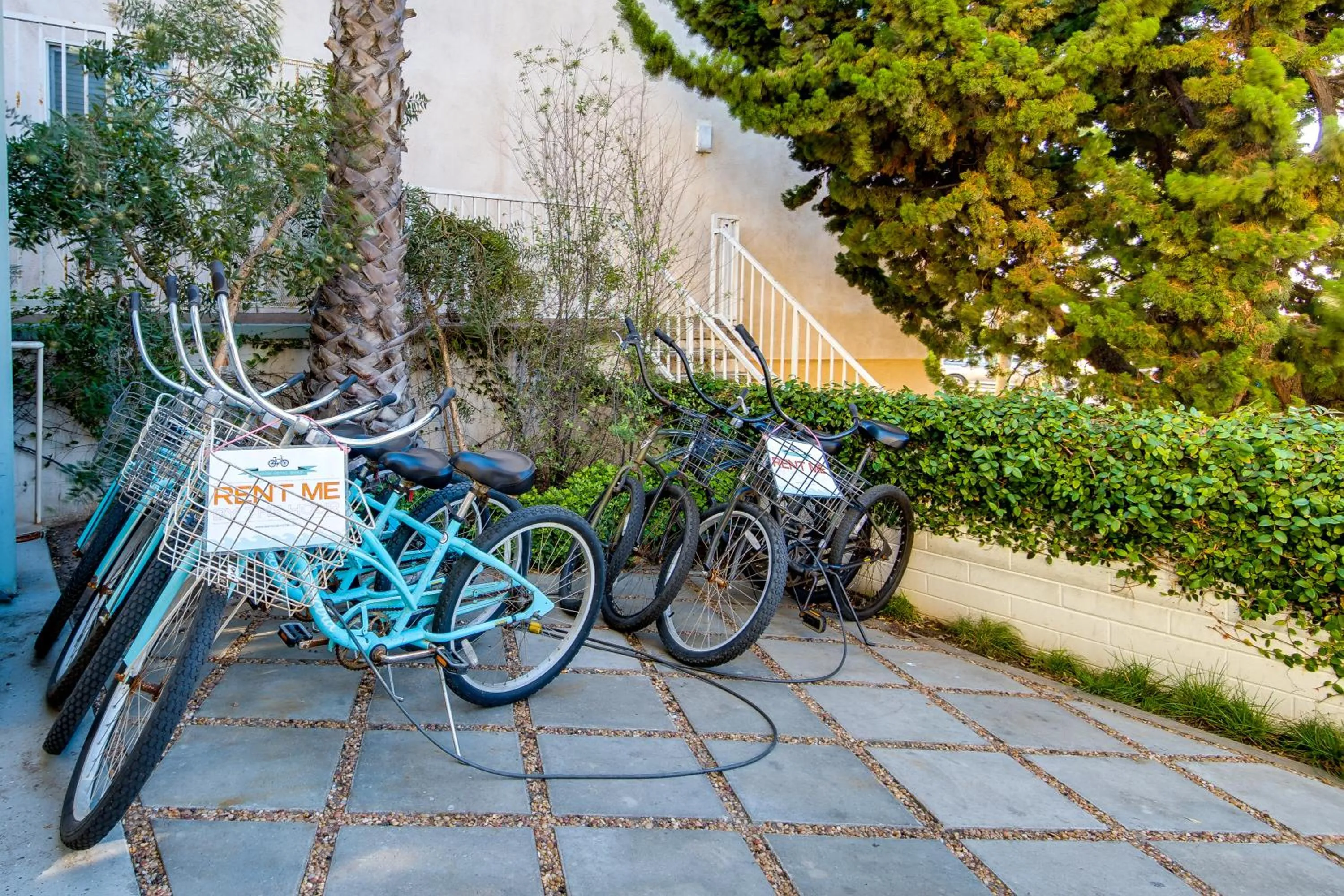 Area and facilities in Bayside Hotel