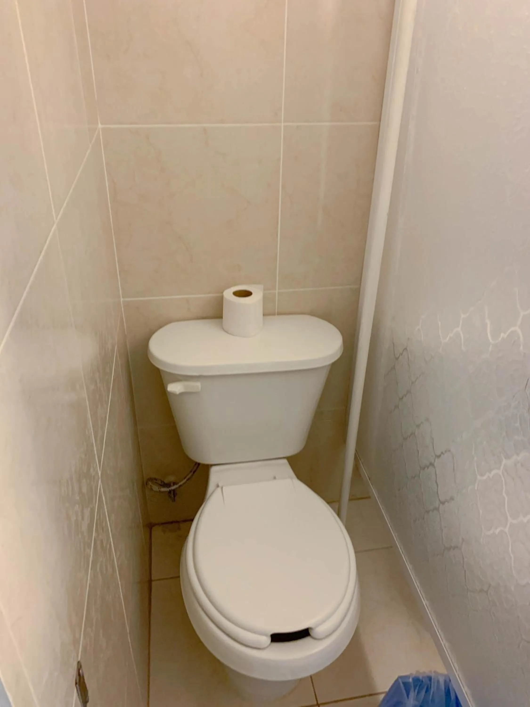 Toilet in La Casa del Expositor