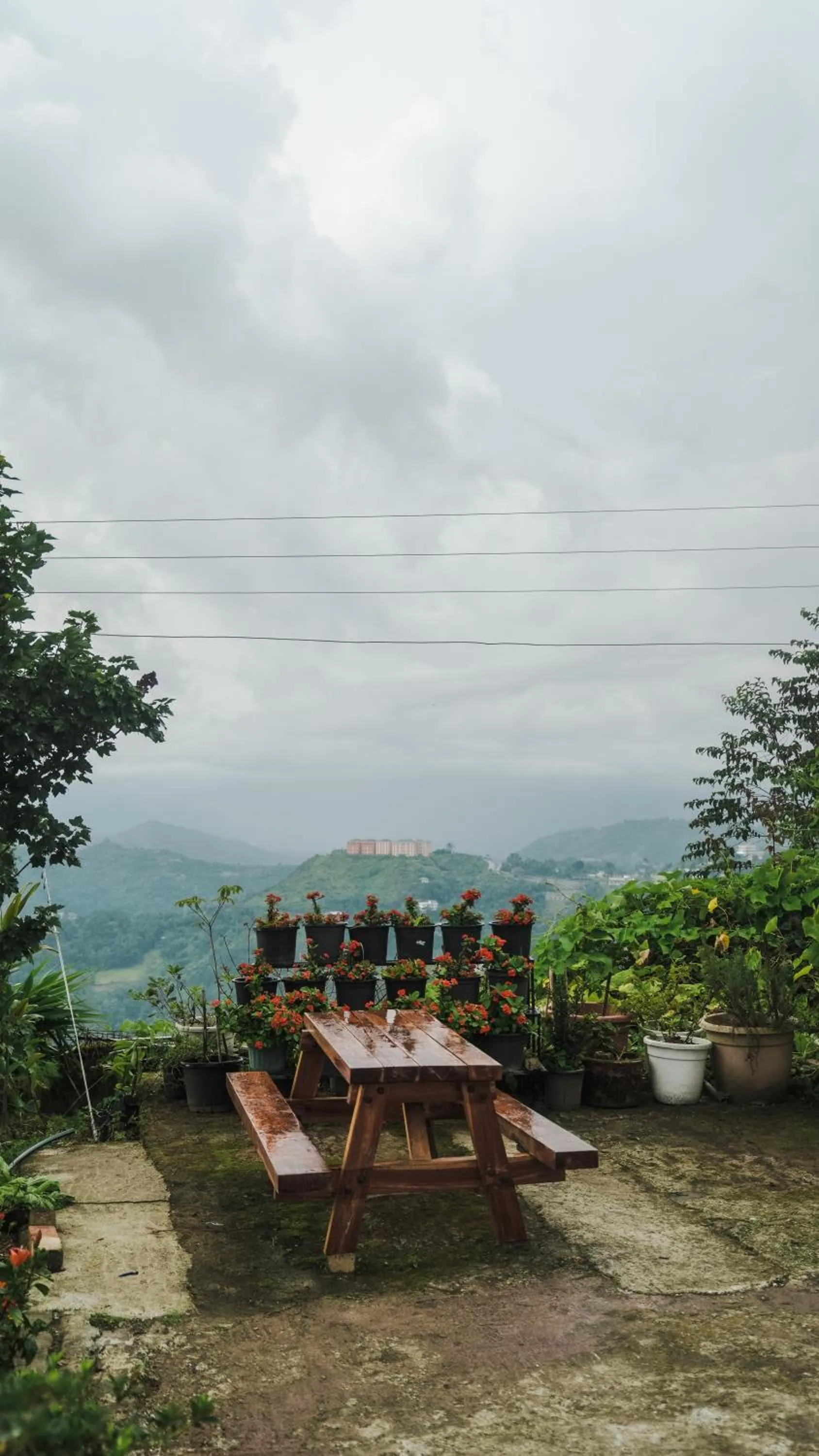 Garden view in Akim Homestay