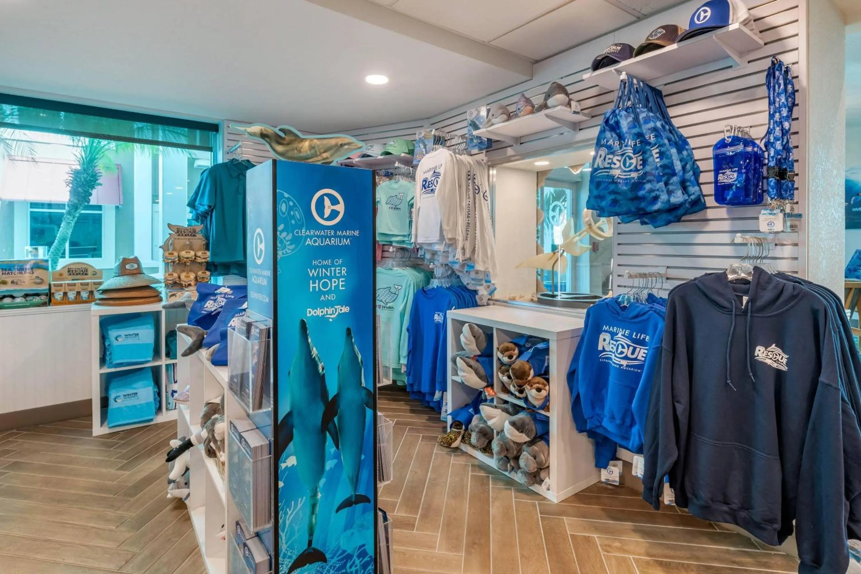 Other in Dolphin Sands Clearwater Beach, an Ascend Collection Hotel