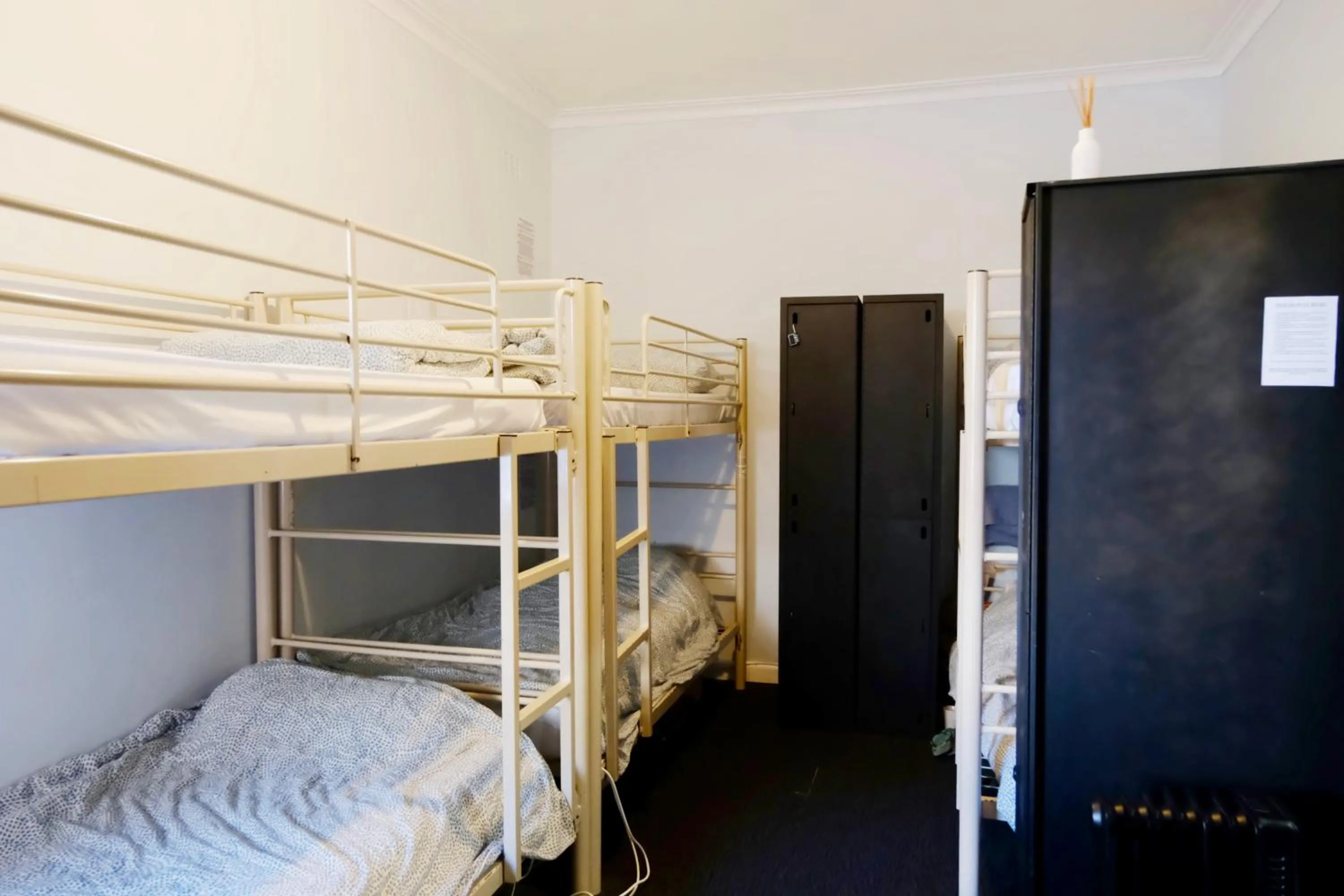 Bed in Pint On Punt Backpackers