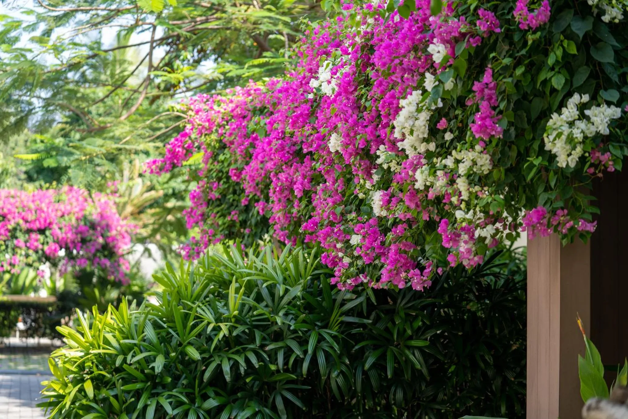 Garden in The Five Villas & Resort Quangnam - Danang