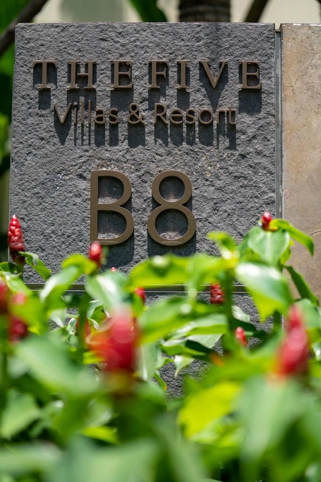 Natural landscape in The Five Villas & Resort Quangnam - Danang