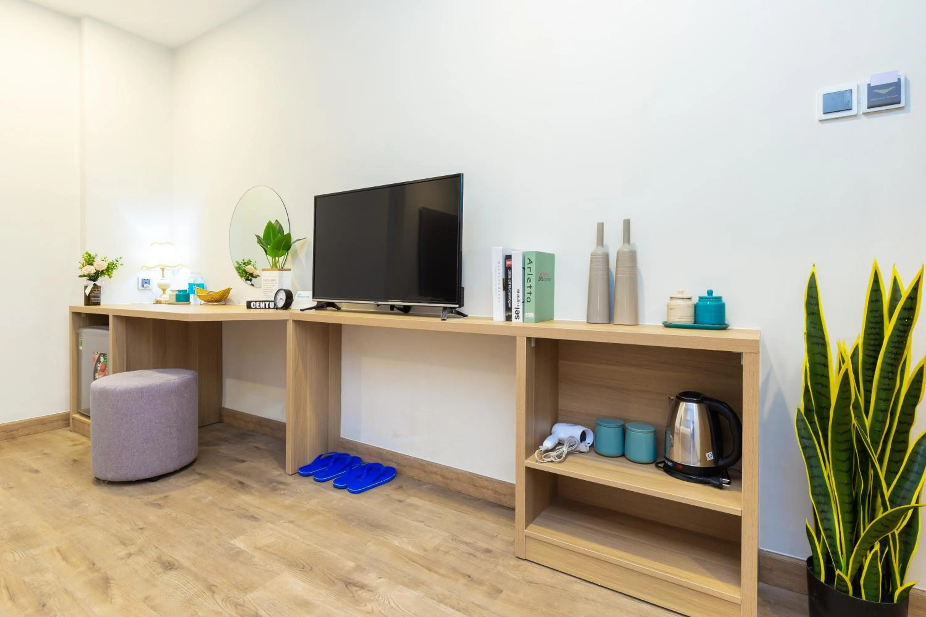 TV and multimedia in Cozrum Lux Hotel