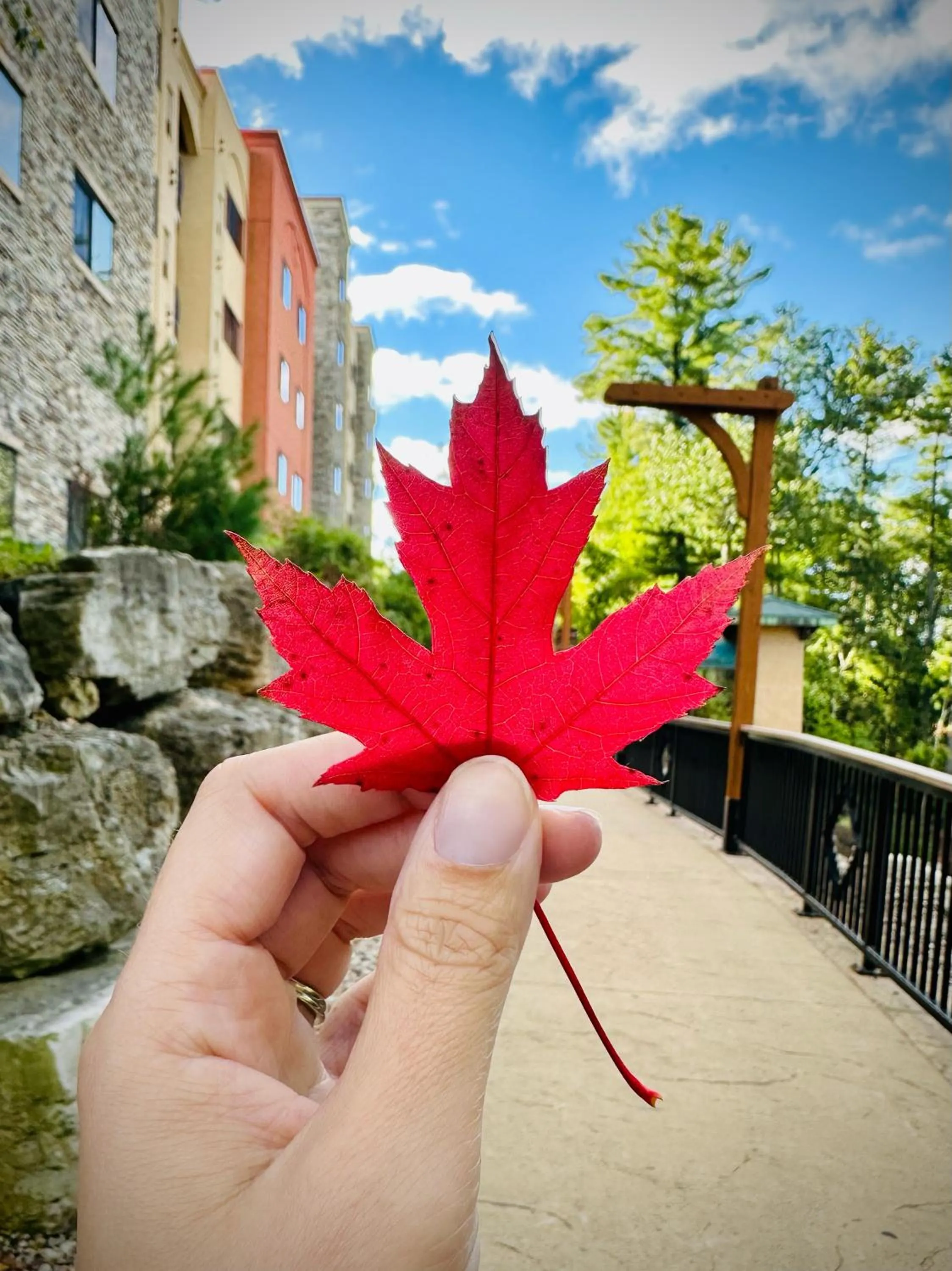 Chula Vista Resort, Trademark Collection by Wyndham