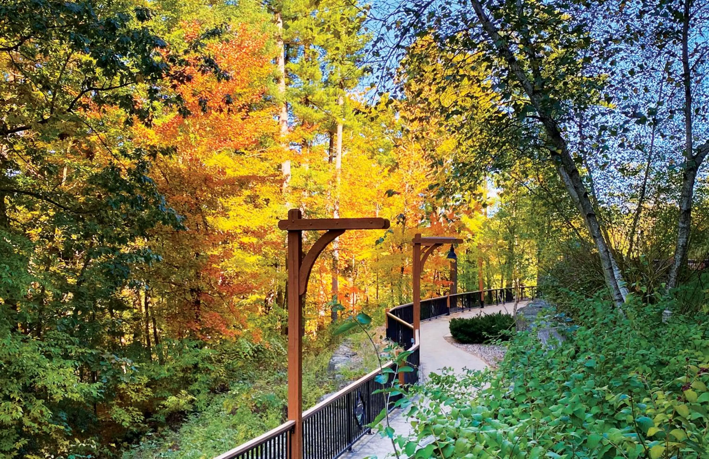 Chula Vista Resort, Trademark Collection by Wyndham