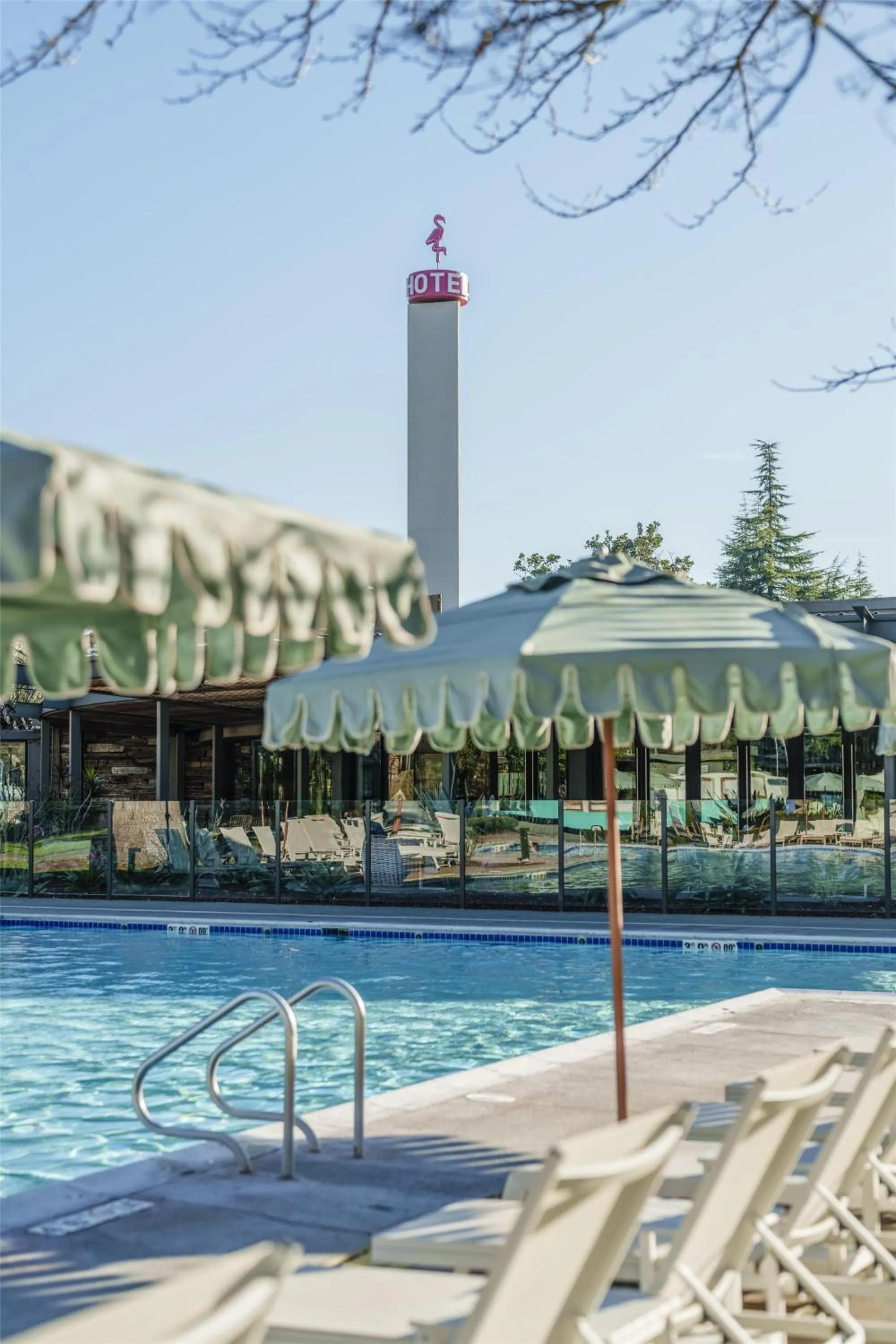 Pool view in Flamingo Resort & Spa Santa Rosa Sonoma, Tapestry by Hilton