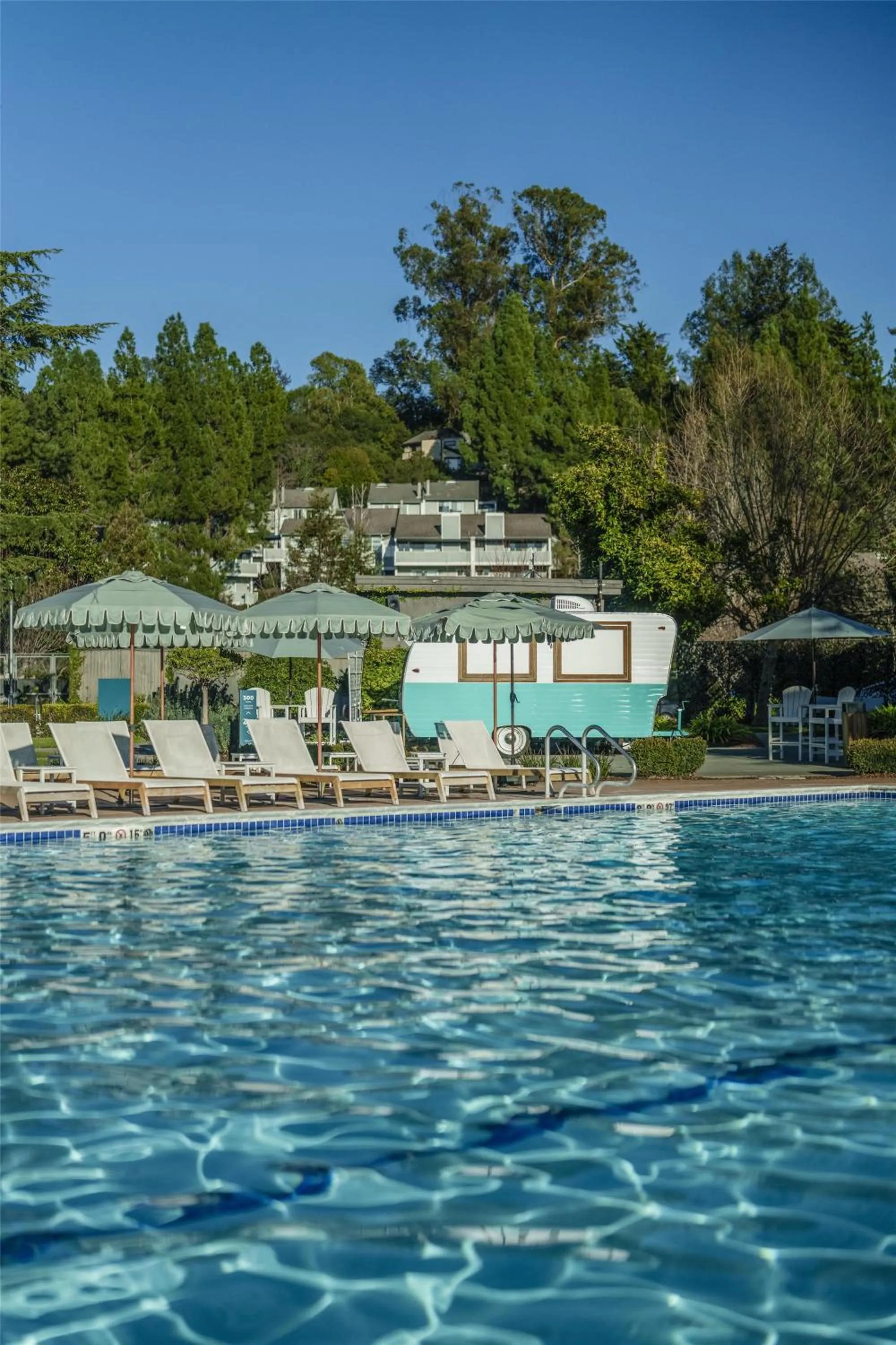 Pool view in Flamingo Resort & Spa Santa Rosa Sonoma, Tapestry by Hilton