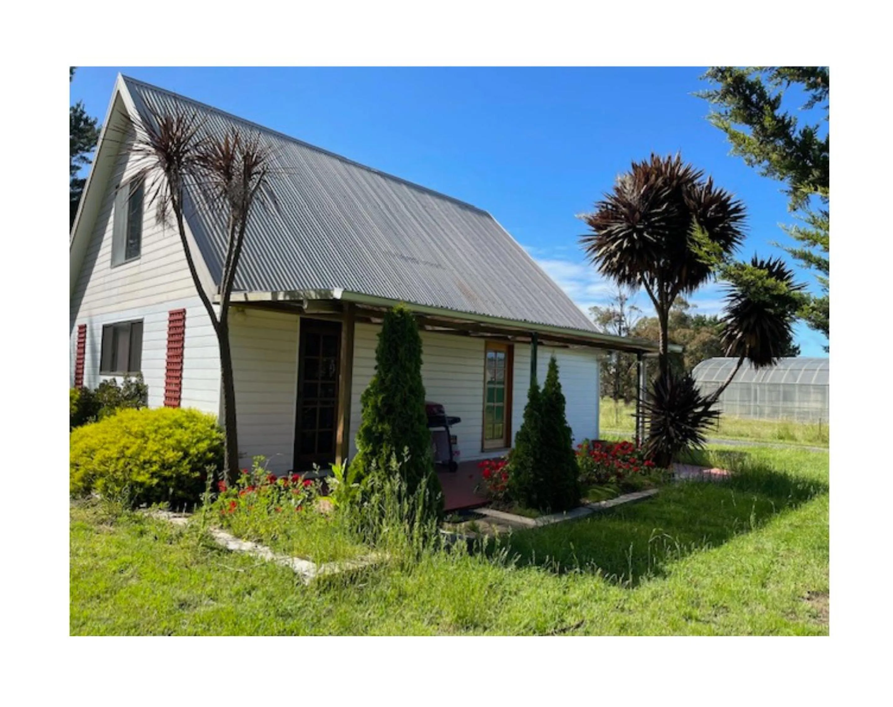 Garden view in Alexanders Of Richmond