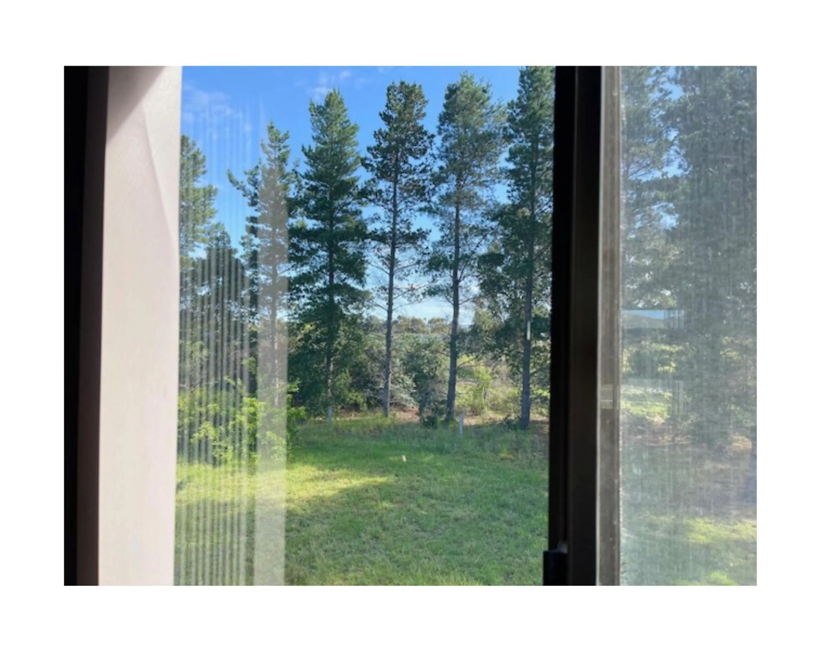 View (from property/room) in Alexanders Of Richmond