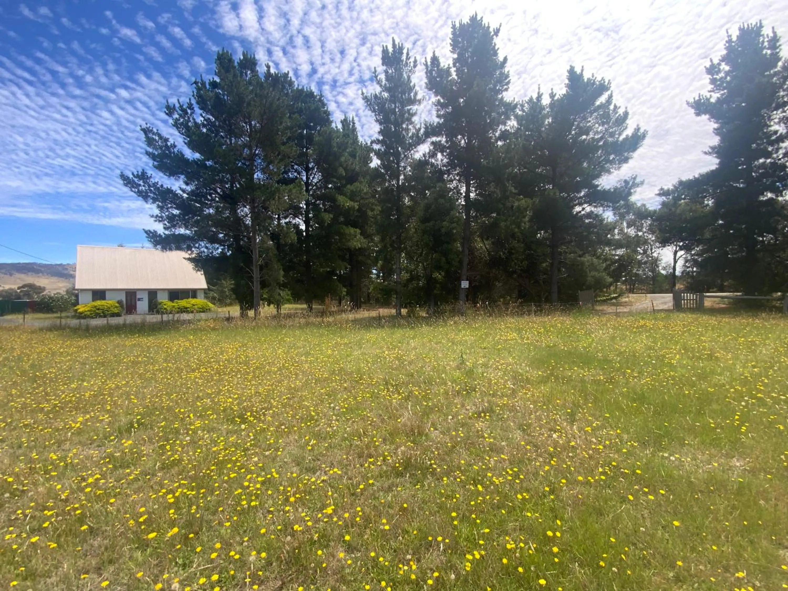 Property building in Alexanders Of Richmond