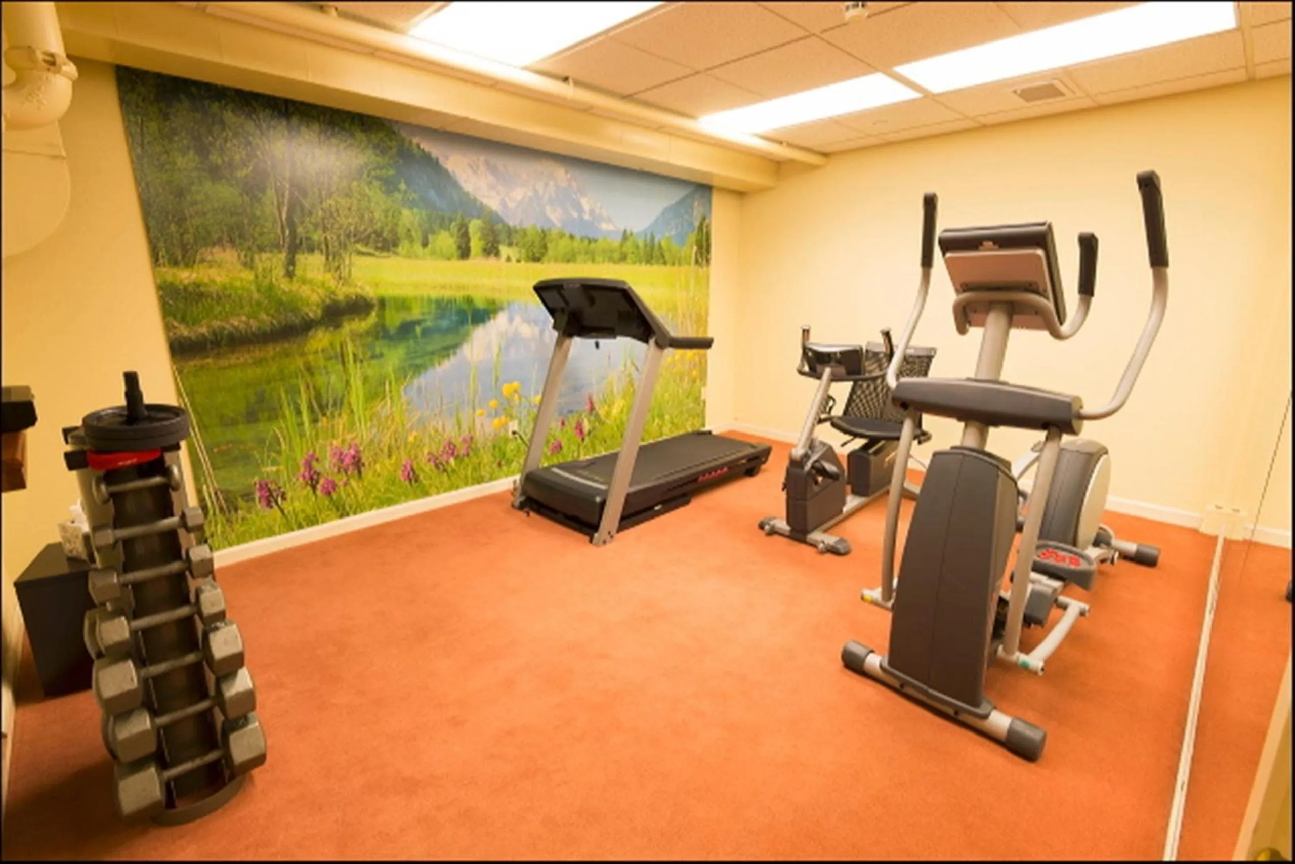 Fitness centre/facilities in Geiser Grand Hotel