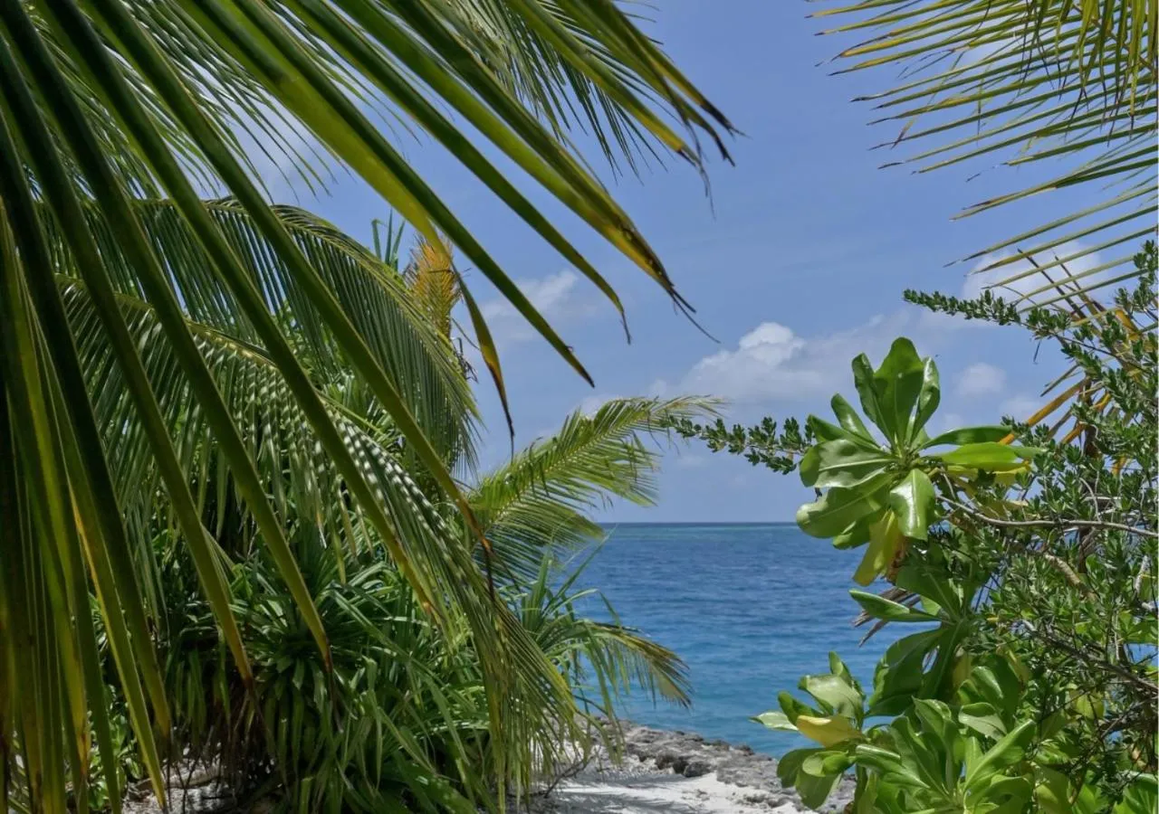 Day in Seasalter Maldives