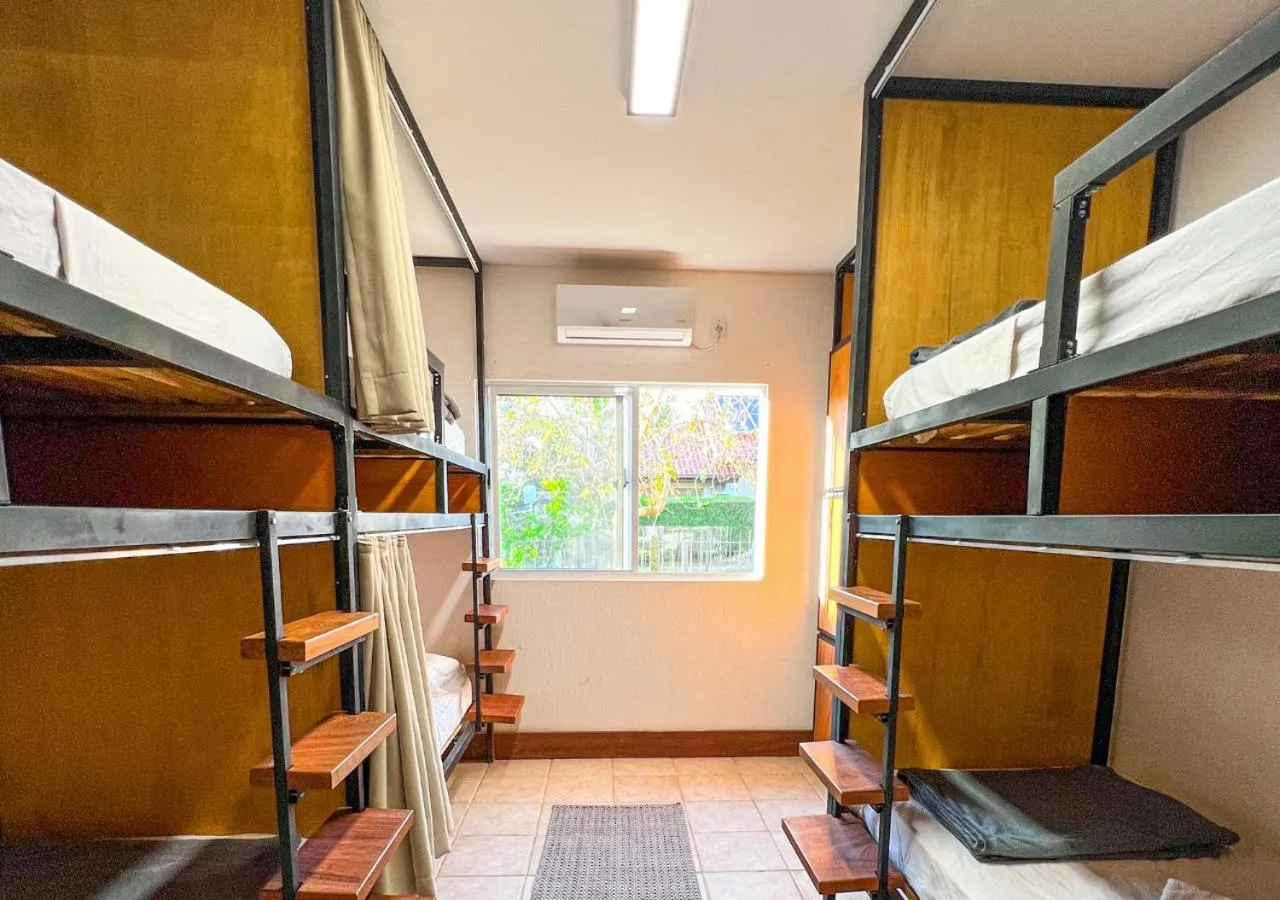 bunk bed, Bed in Patz Houz Hostel