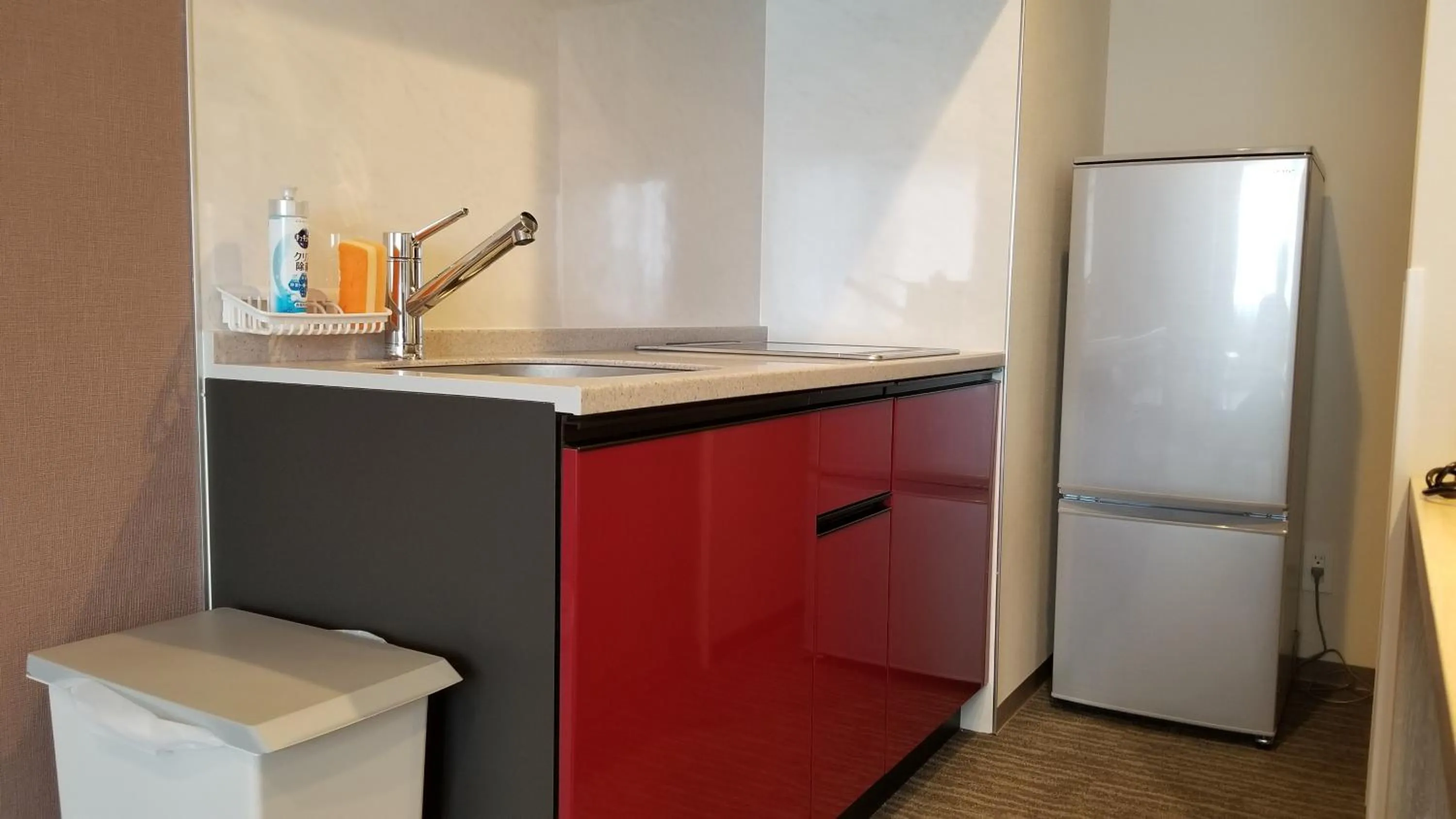 Kitchen or kitchenette in Hotel Torifito Kashiwanoha