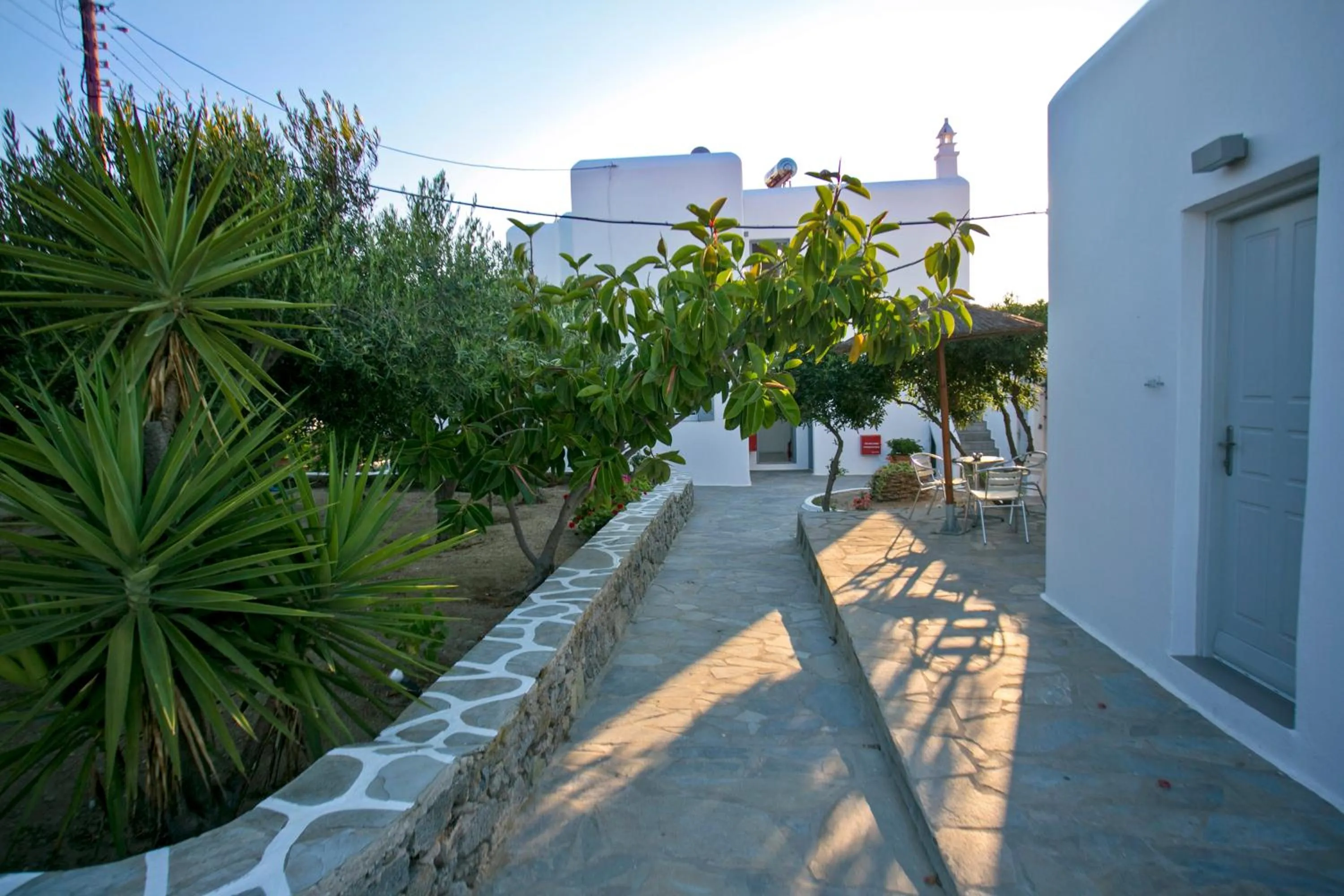 Garden in Anna-Maria Mykonos Hotel