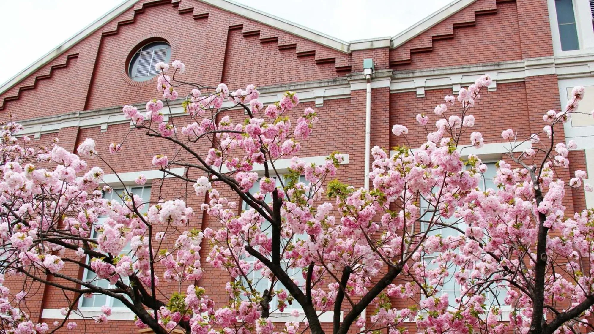 Nearby landmark in Toyoko Inn Osaka Kyobashi Sakuranomiya