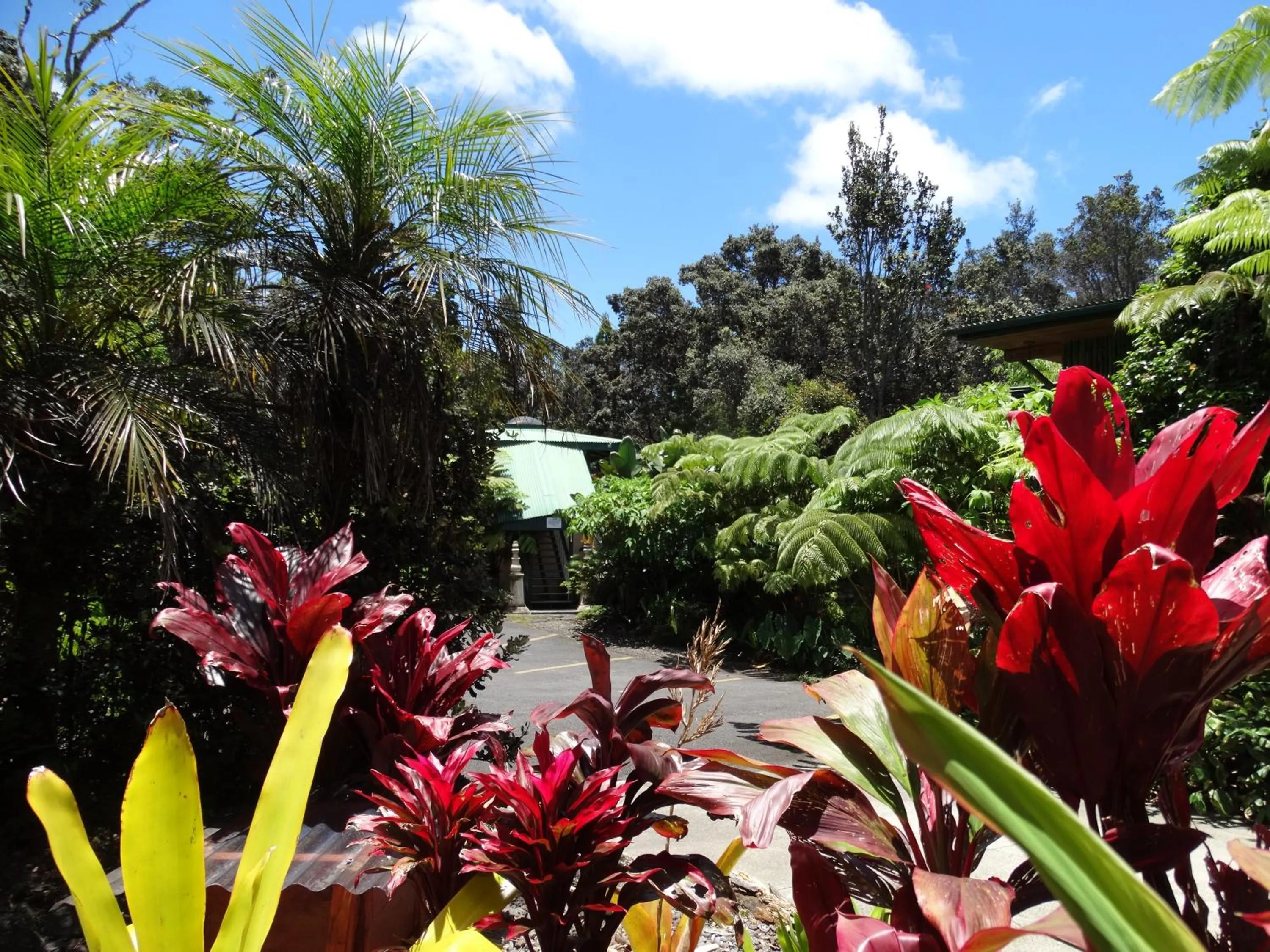Garden in Chalet Kilauea