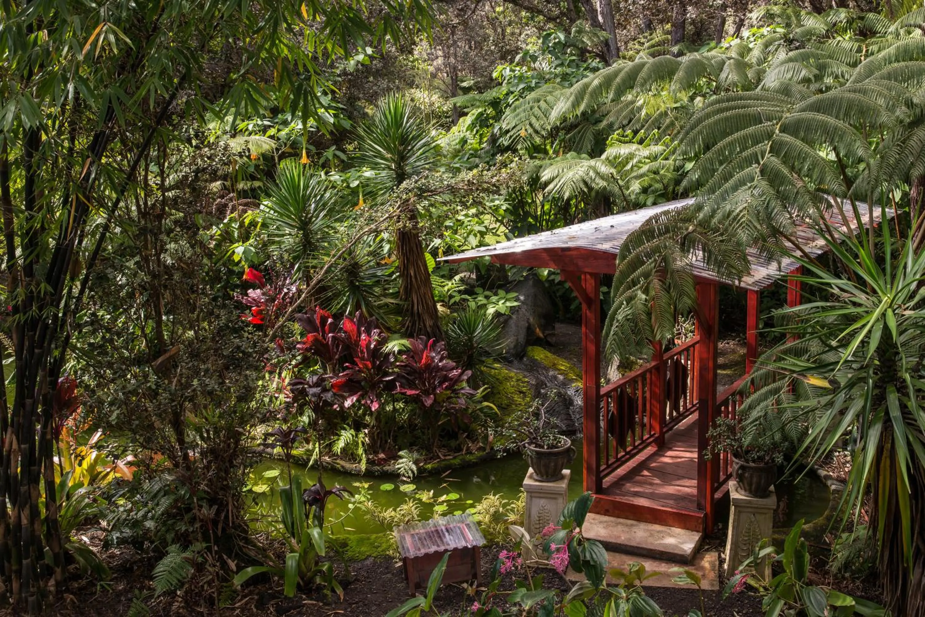 Day in Chalet Kilauea