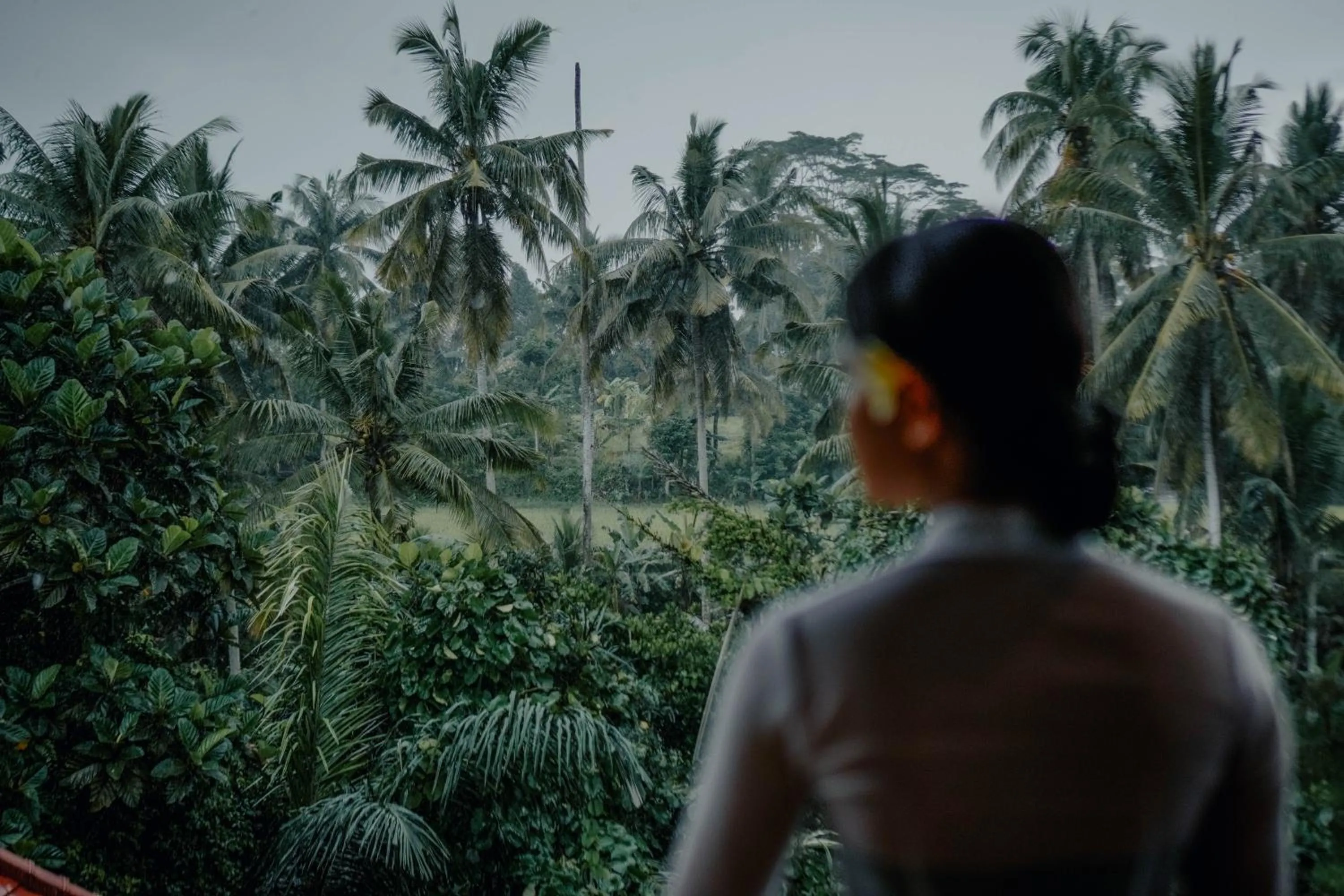 View (from property/room) in Sakti Garden Resort & Spa