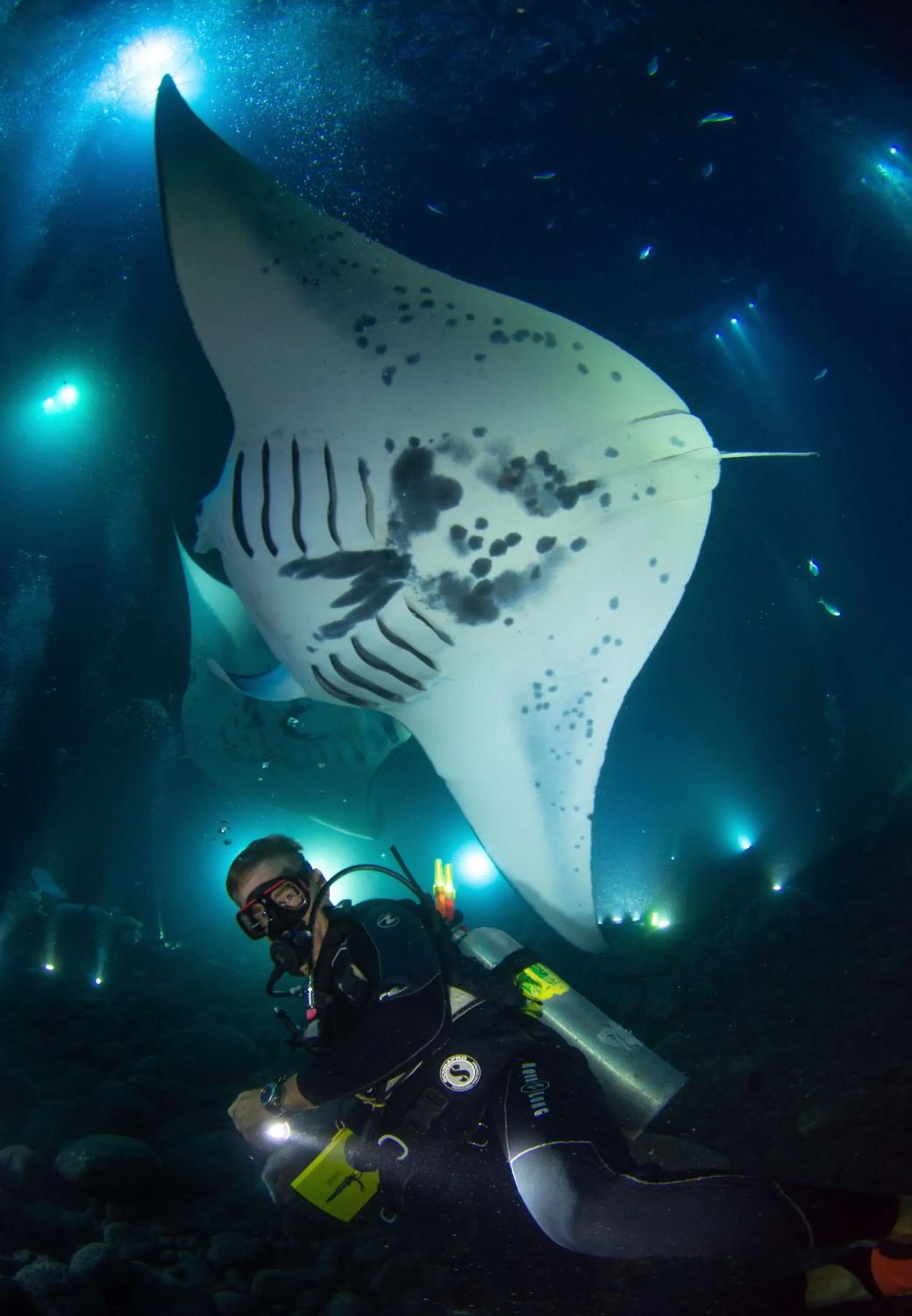 Sports in OUTRIGGER Kona Resort and Spa