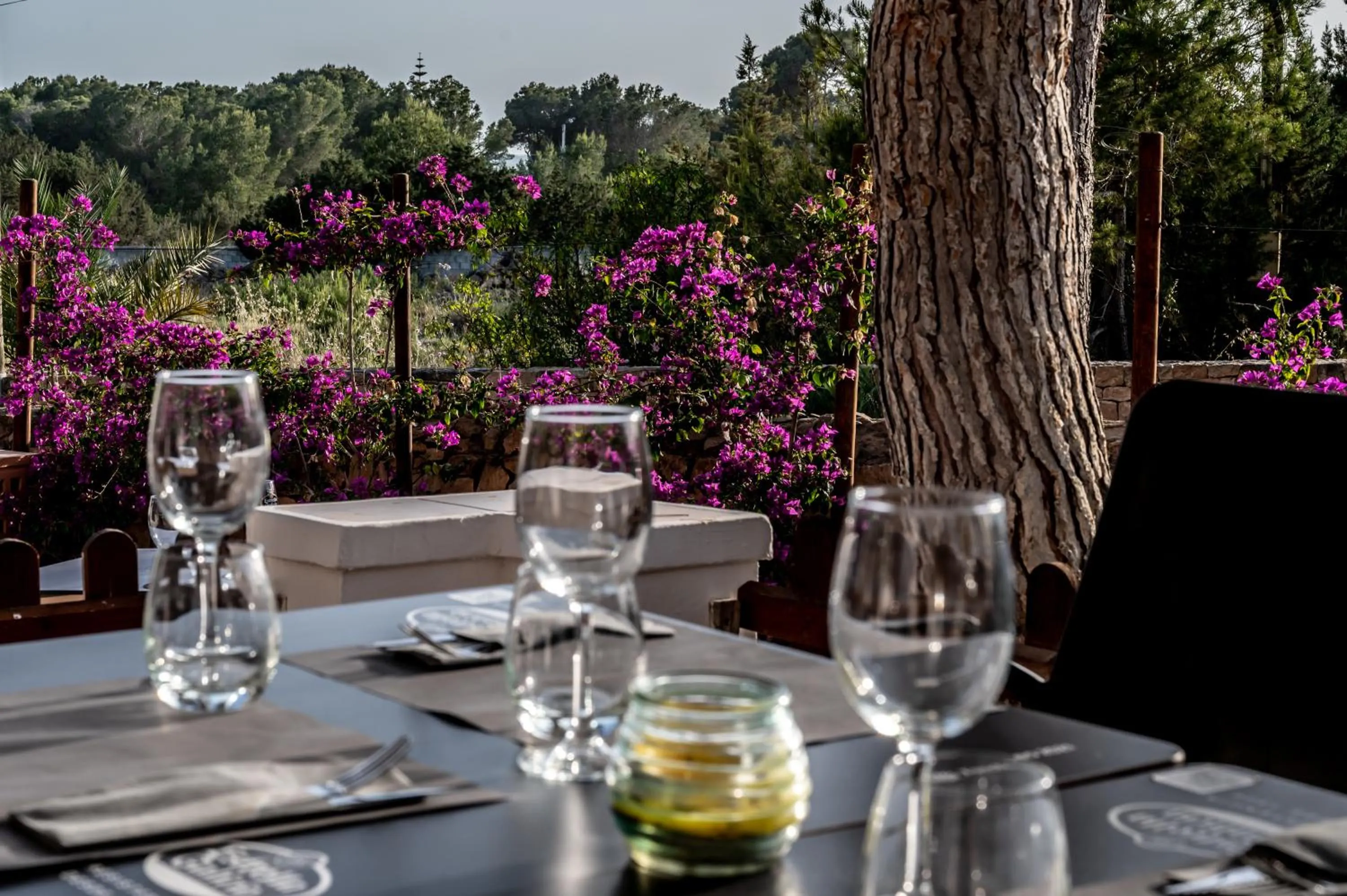 Restaurant/places to eat in Bungalows Es Pins - Emar Hotels