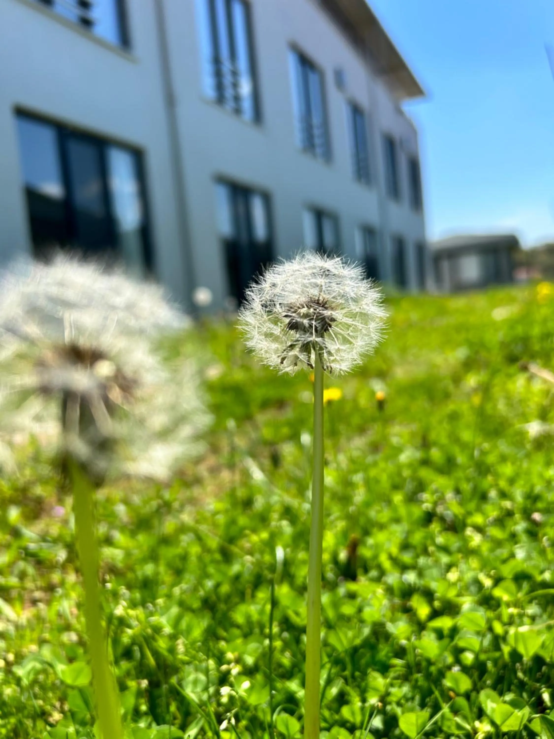 Garden in Yalıköy Deniz Otel Istanbul