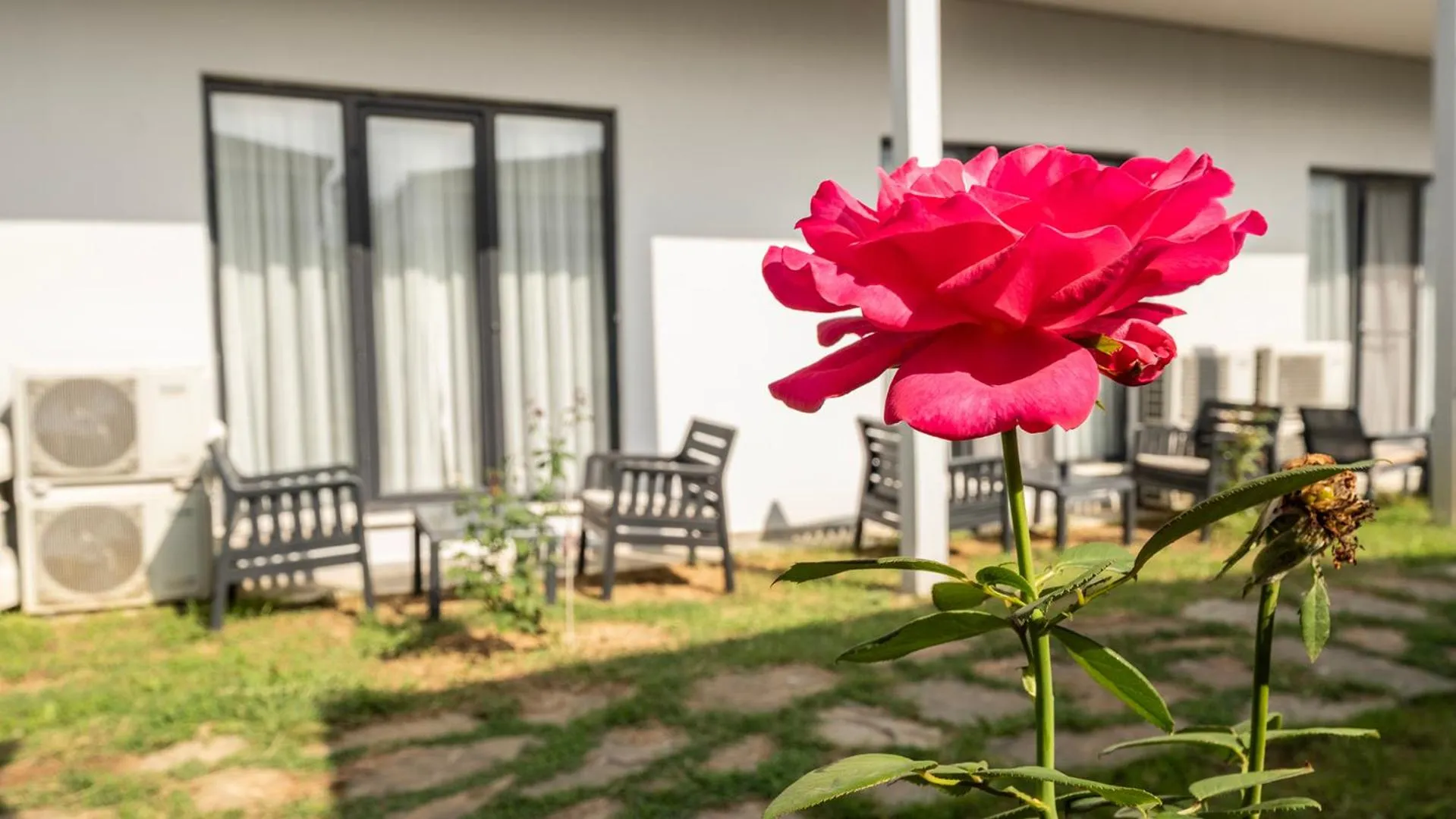 View (from property/room) in Yalıköy Deniz Otel Istanbul
