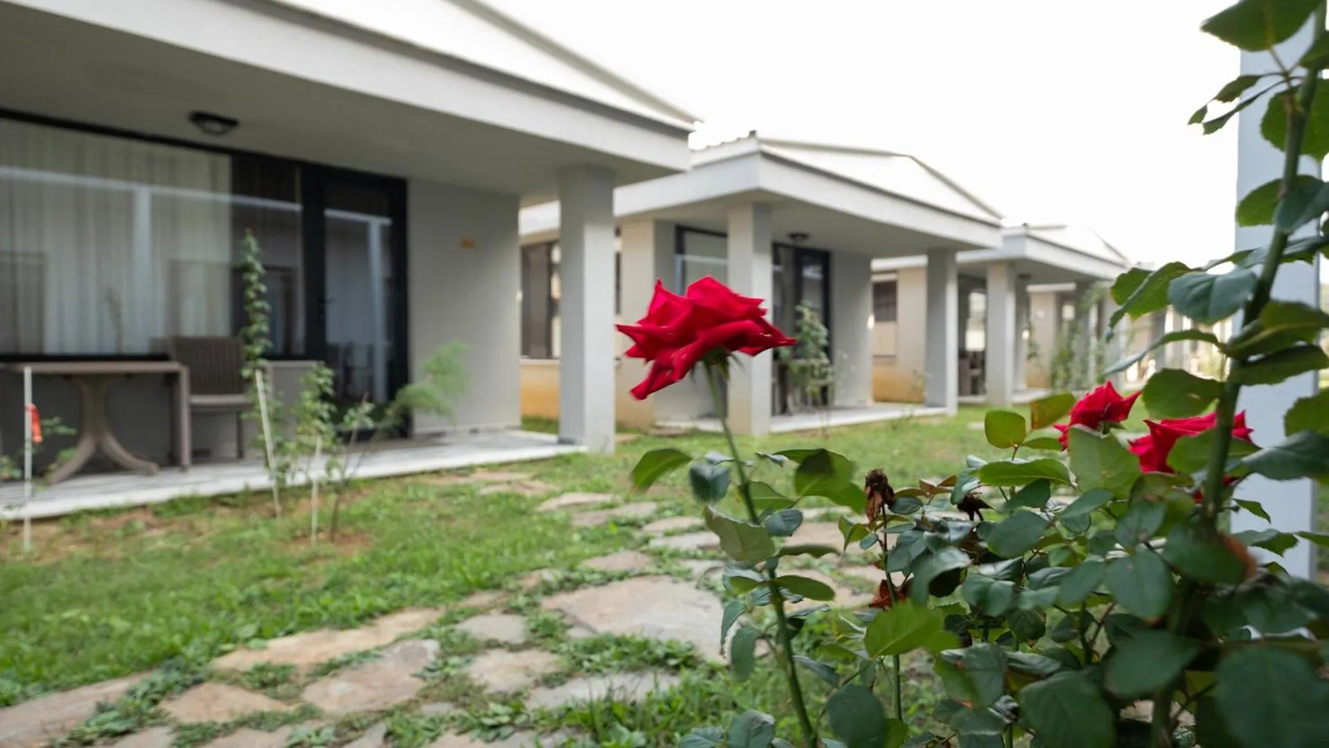 Decorative detail in Yalıköy Deniz Otel Istanbul