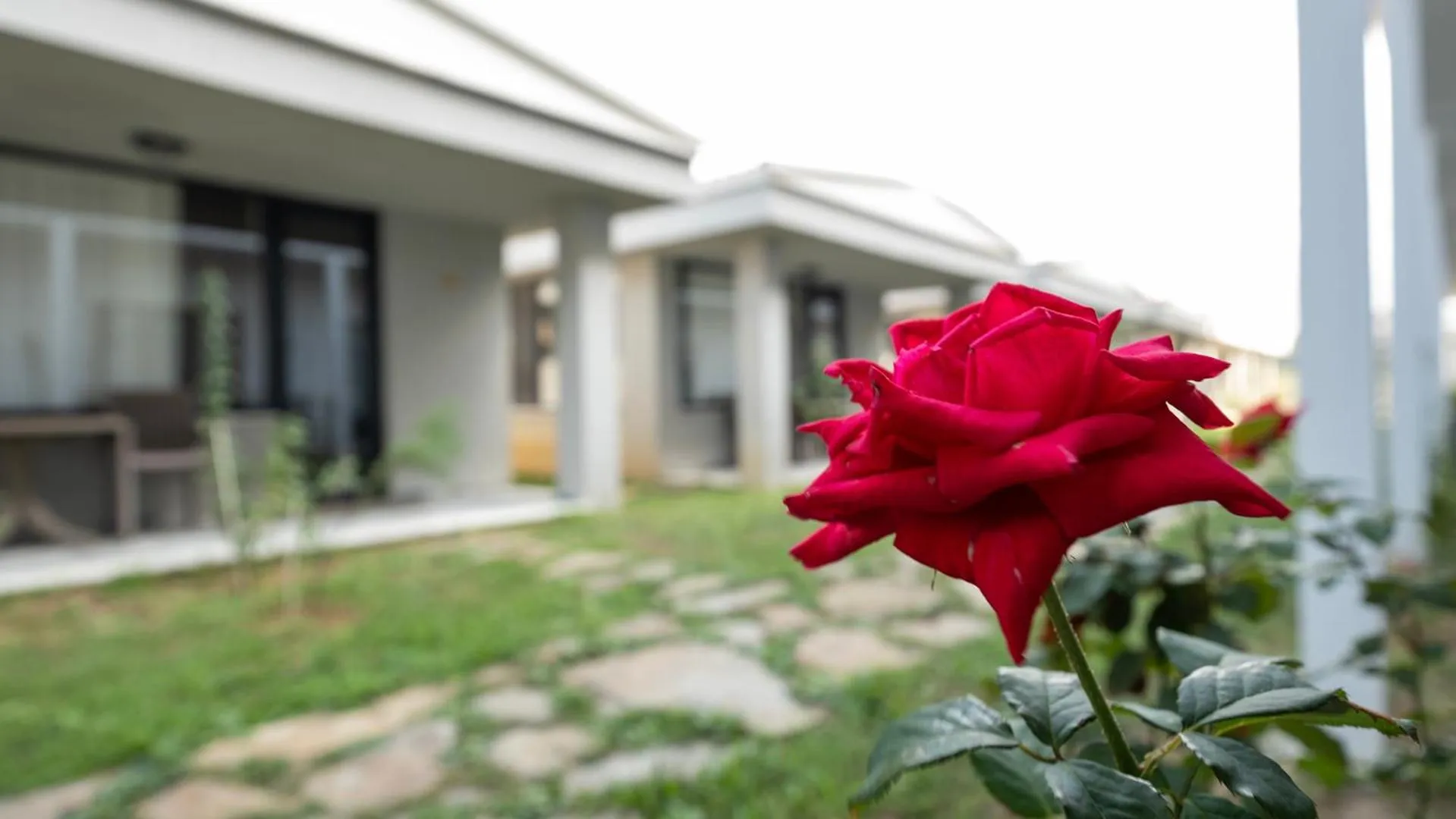 Garden in Yalıköy Deniz Otel Istanbul