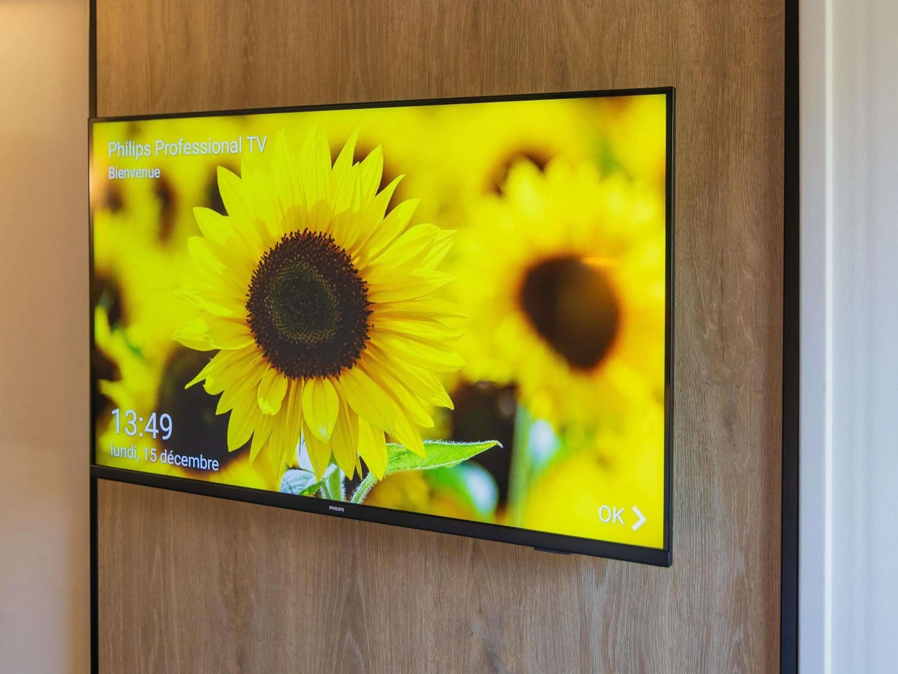 Bedroom in ibis Grenoble Gare