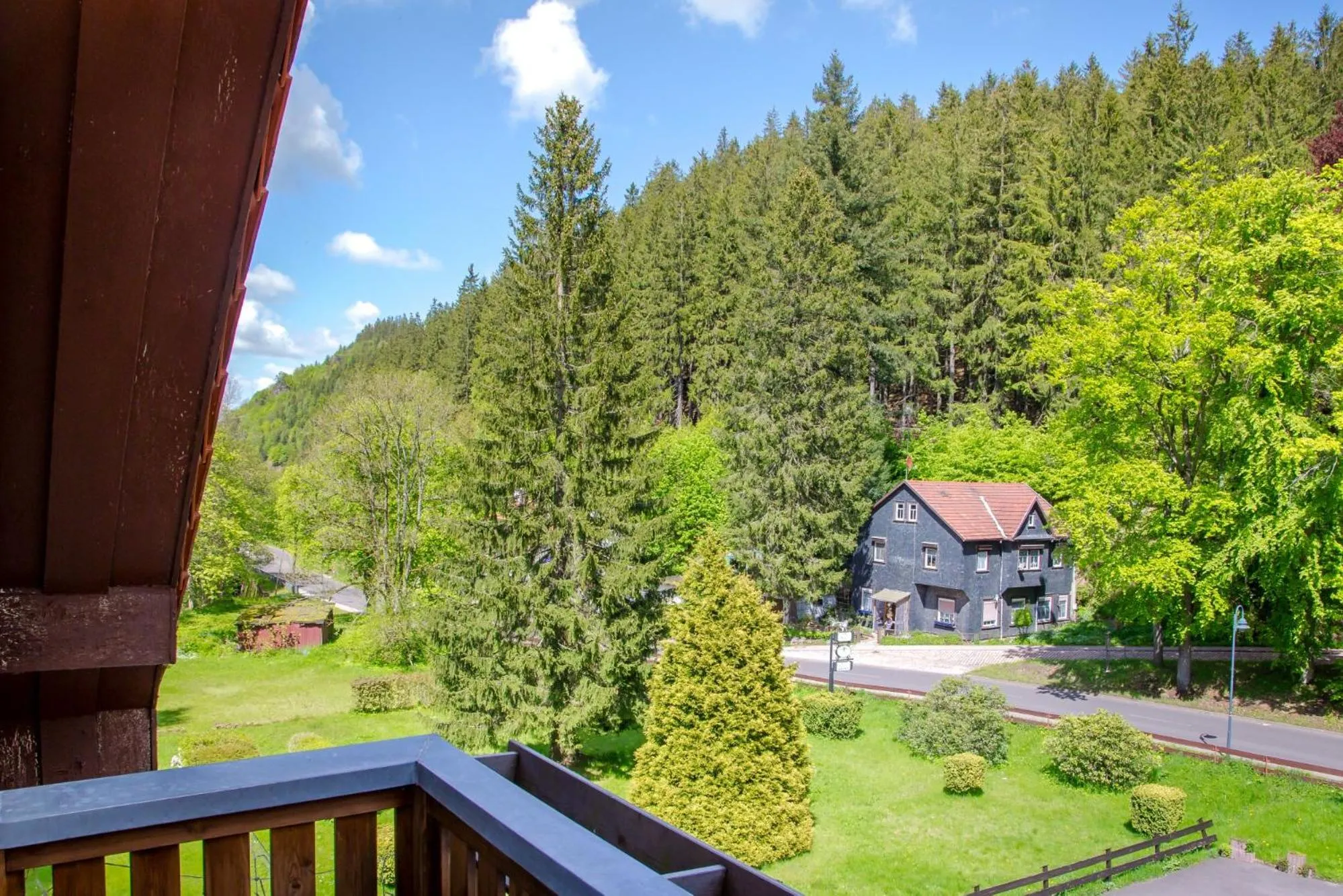 View (from property/room) in Waldhotel Friedrichroda