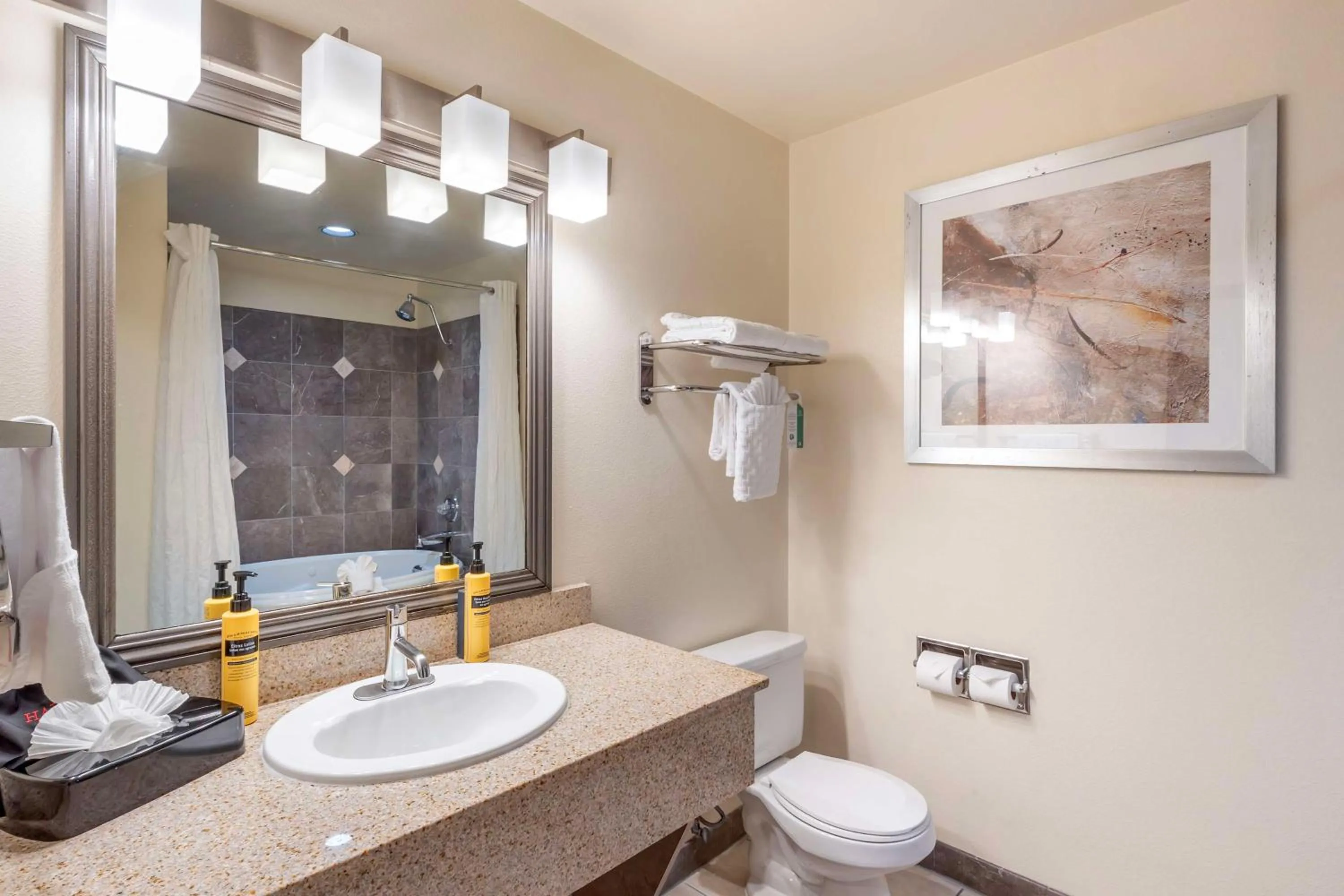 Bathroom in Best Western Plus Orchid Hotel & Suites