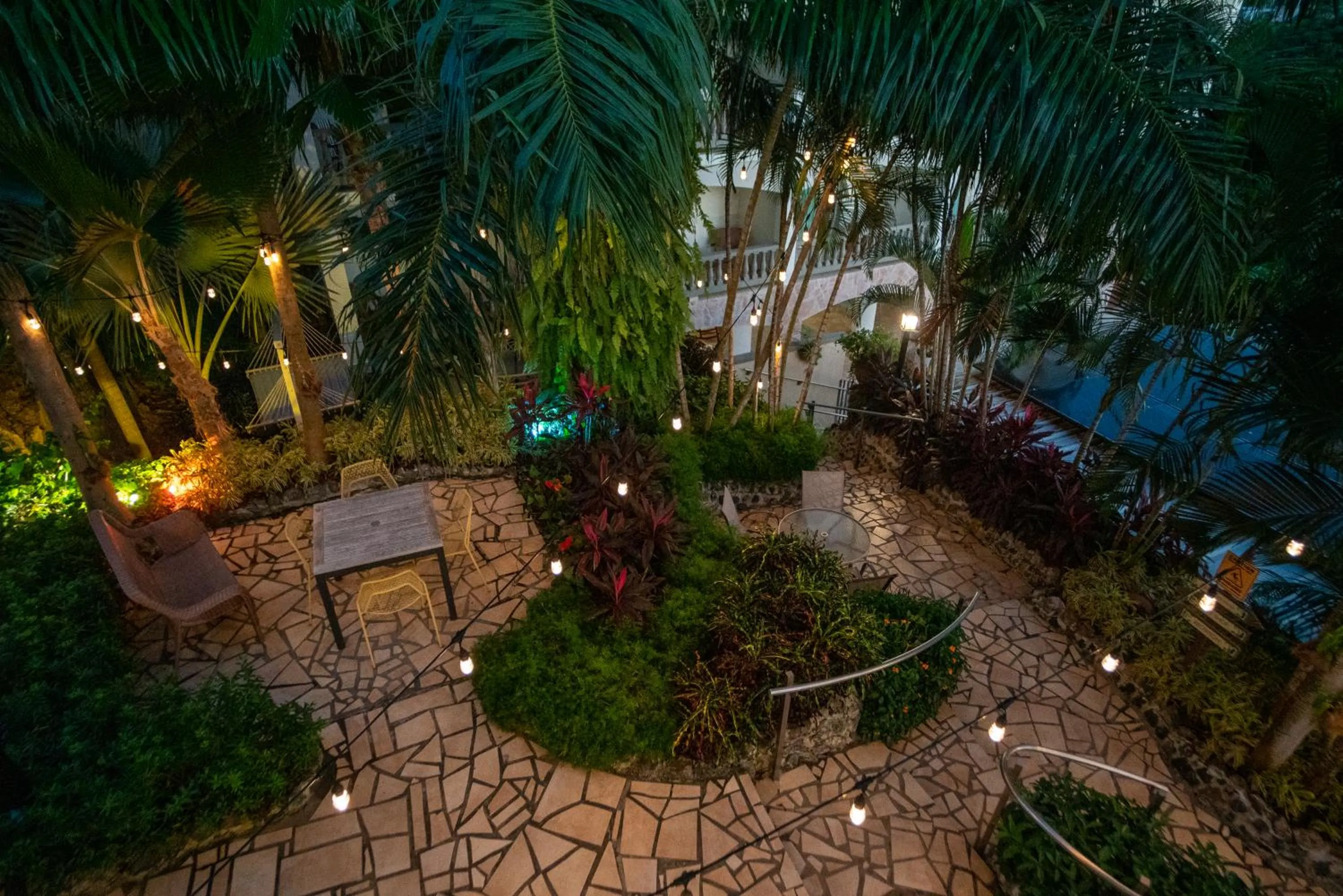 Garden in Lazy Parrot Inn