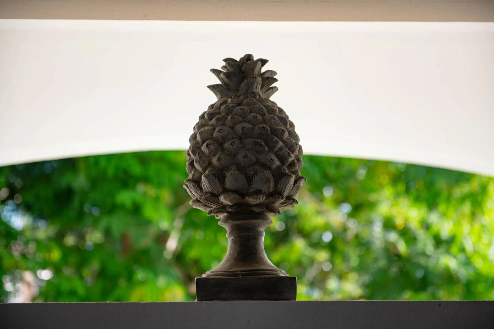 Property building in Lazy Parrot Inn