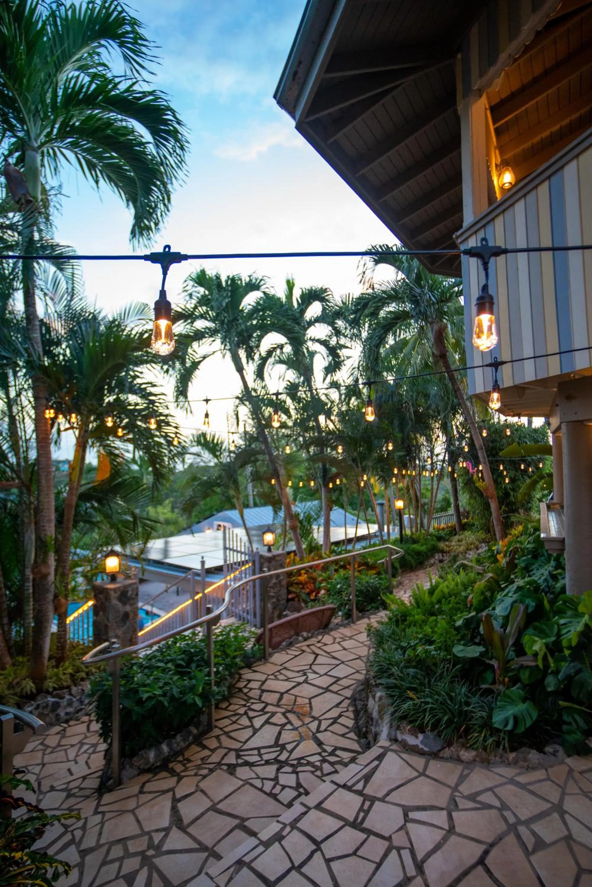 Garden in Lazy Parrot Inn