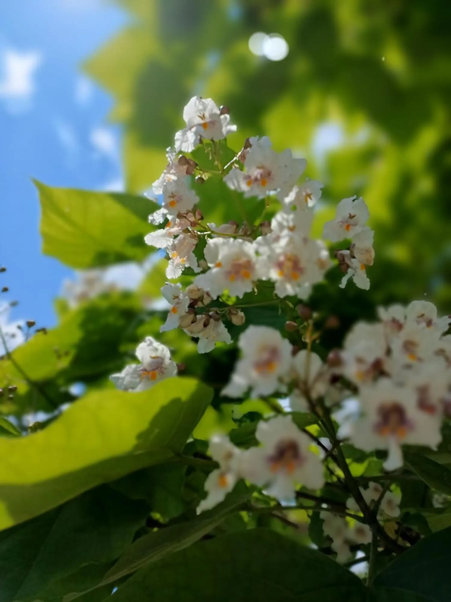 View (from property/room) in Rezydencja Izabella