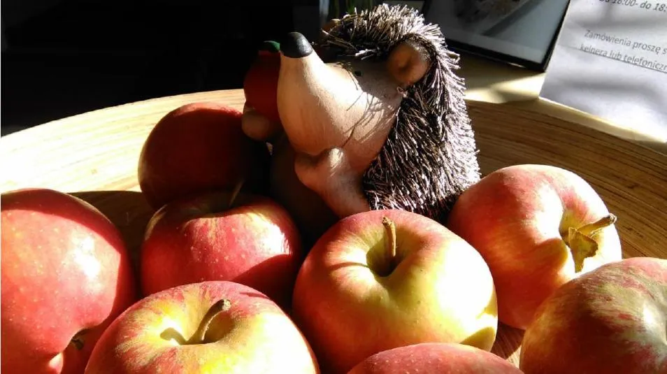 Facade/entrance in Rezydencja Izabella