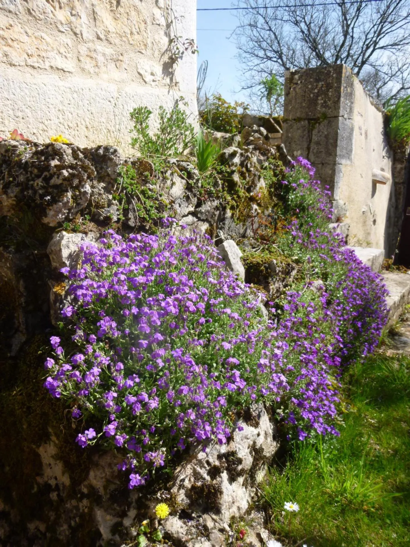Garden in Au Mas de Gamet