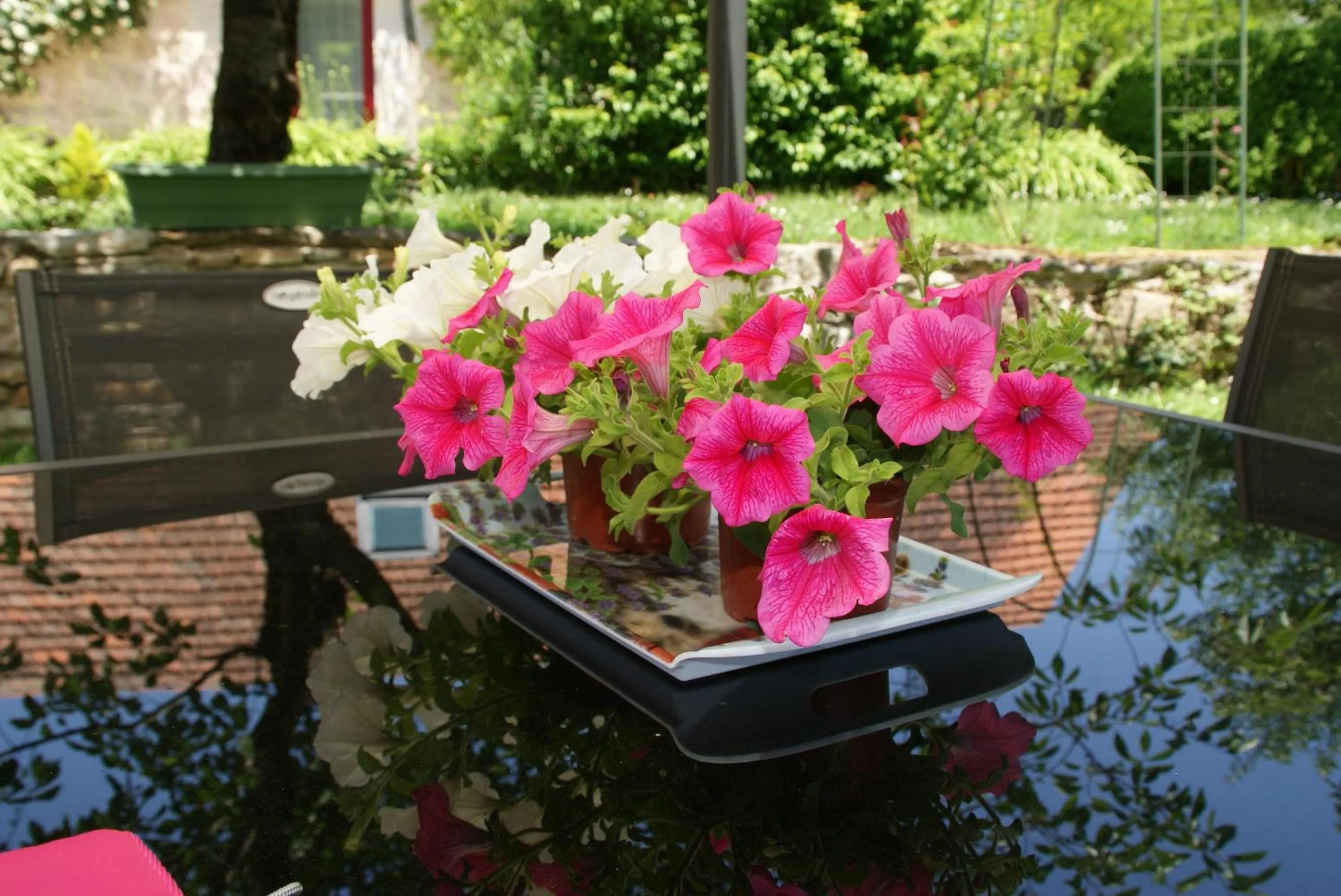 Garden in Au Mas de Gamet