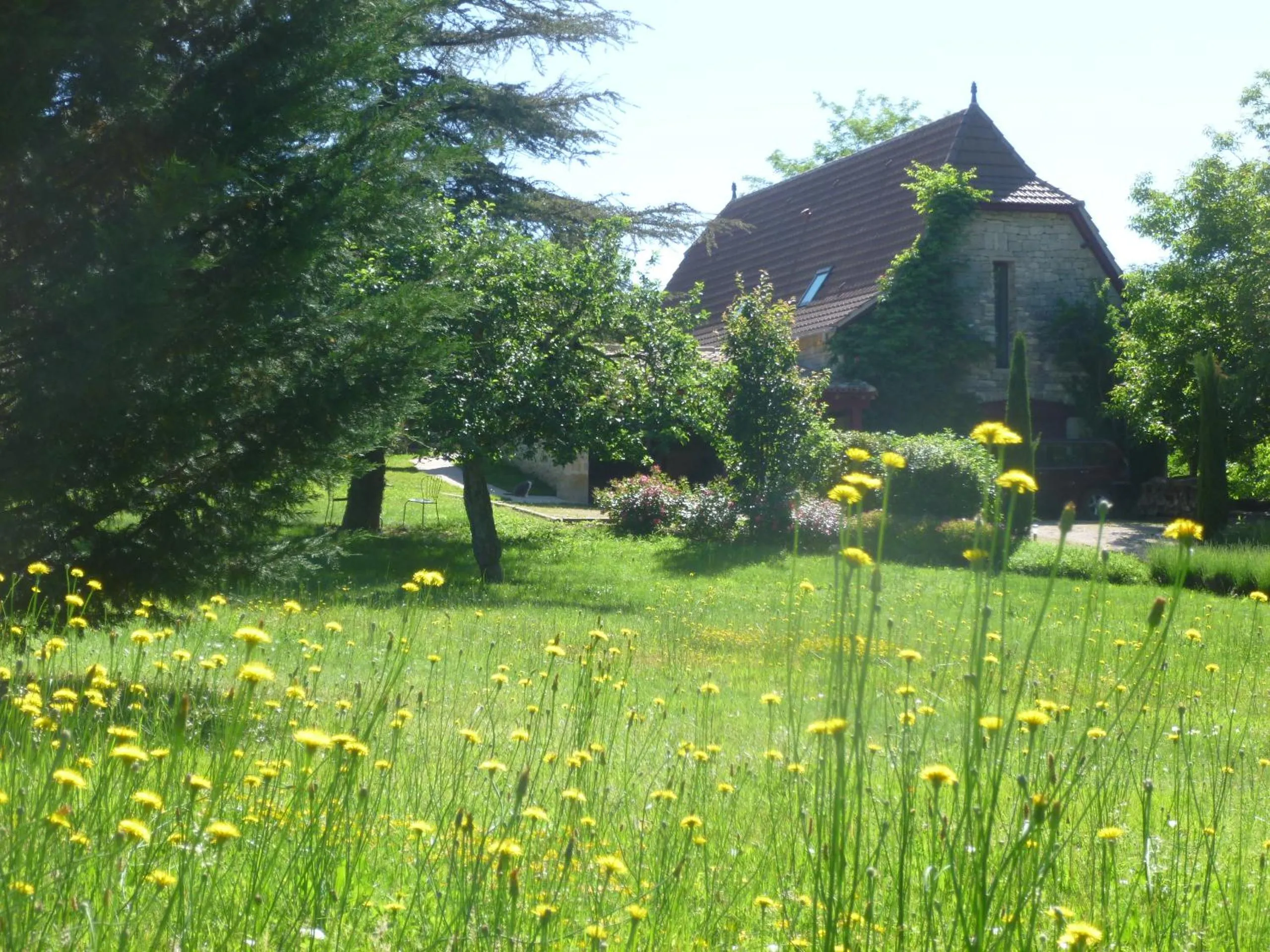 Garden in Au Mas de Gamet