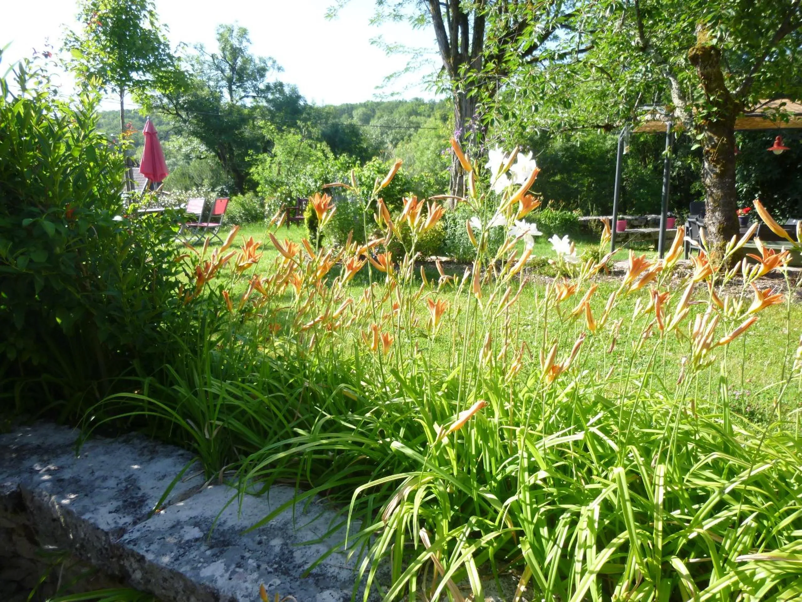 Garden in Au Mas de Gamet