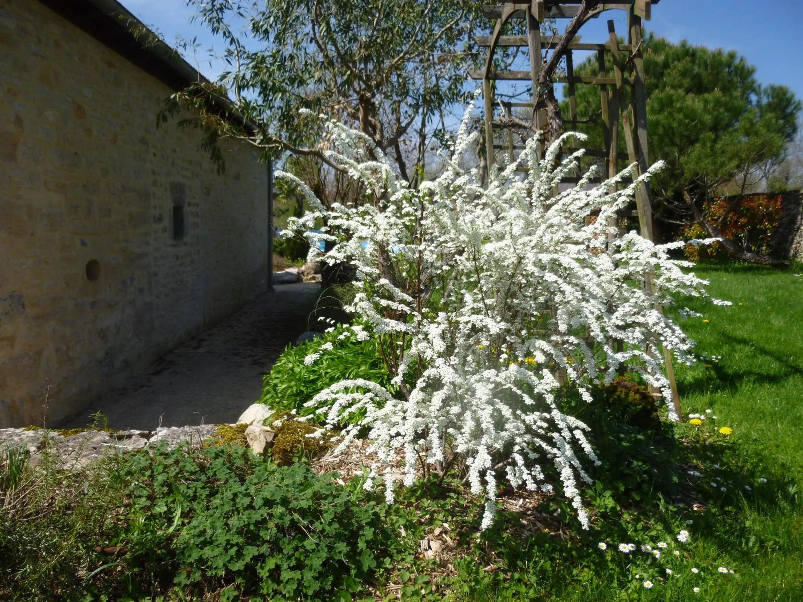 Garden in Au Mas de Gamet
