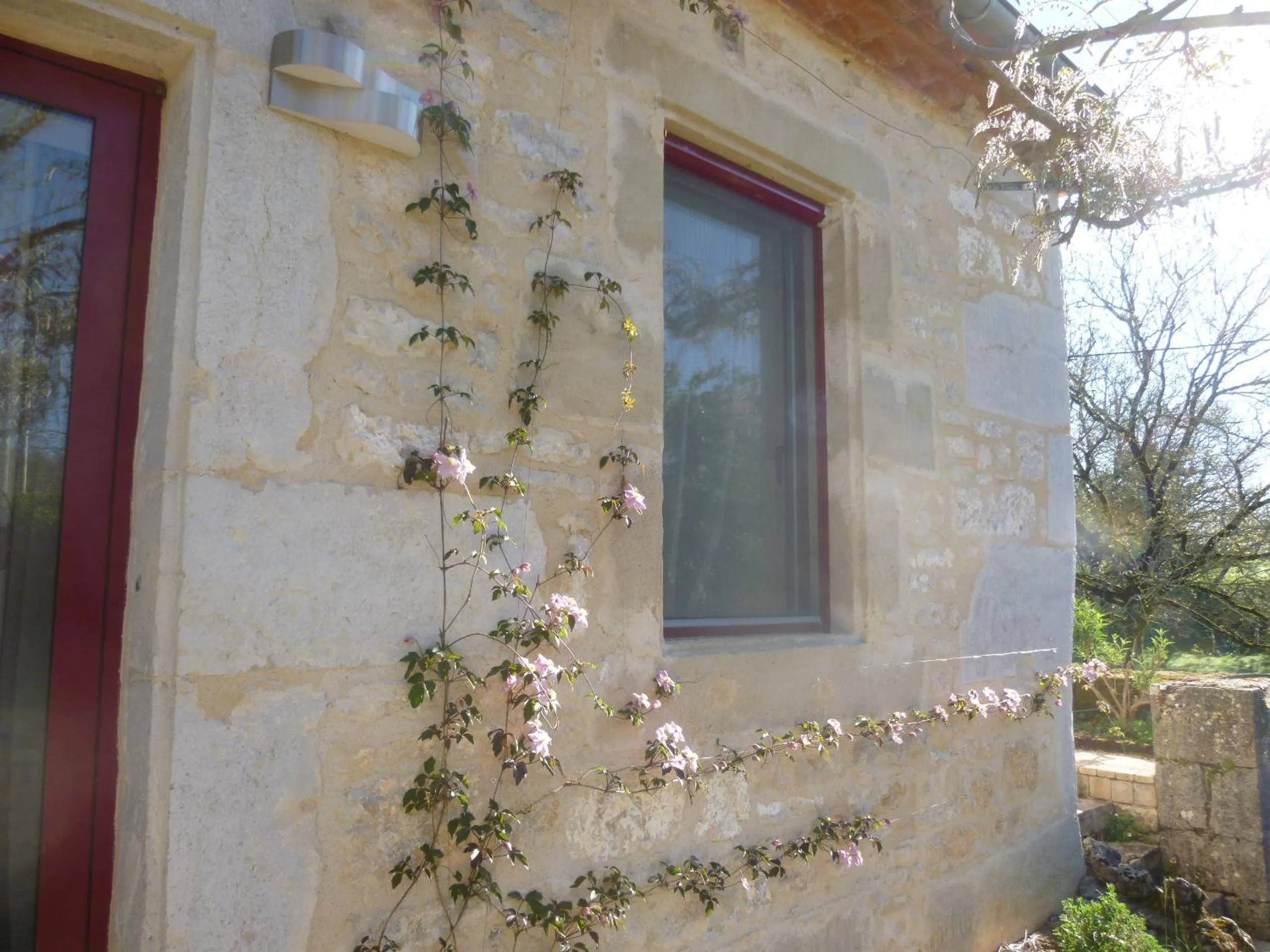 Garden in Au Mas de Gamet