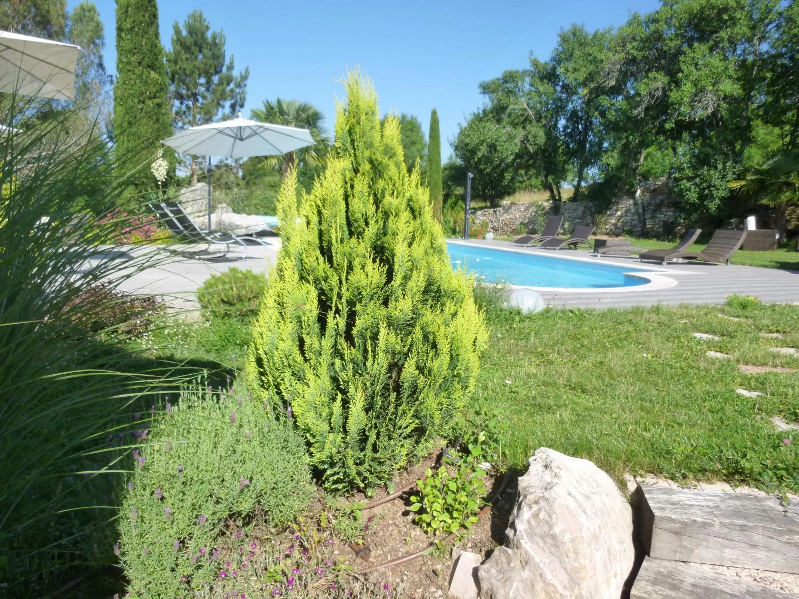 Swimming pool in Au Mas de Gamet