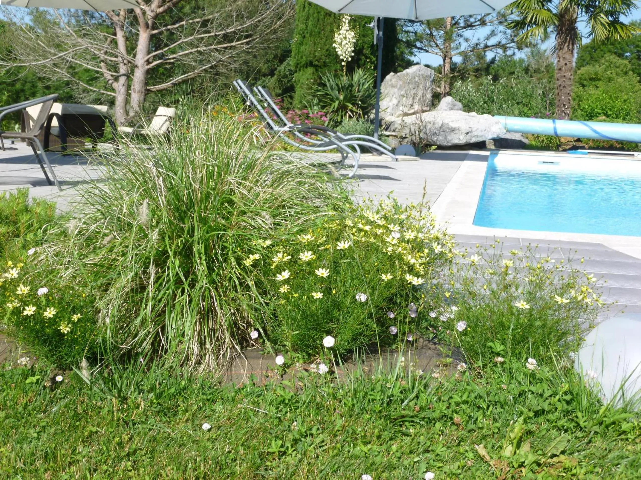 Swimming pool in Au Mas de Gamet